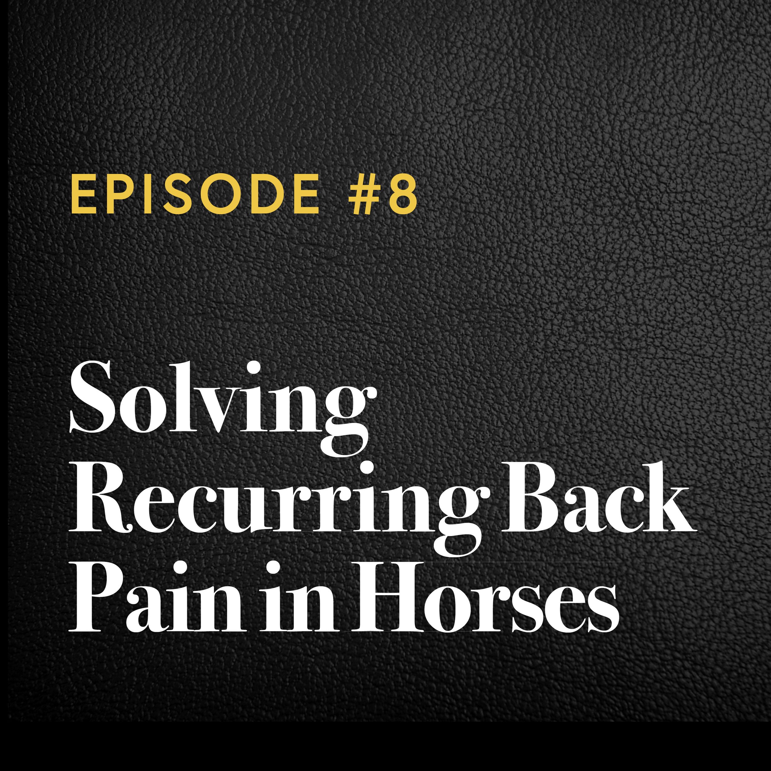 Episode #8: Solving Recurring Back Pain in Horses