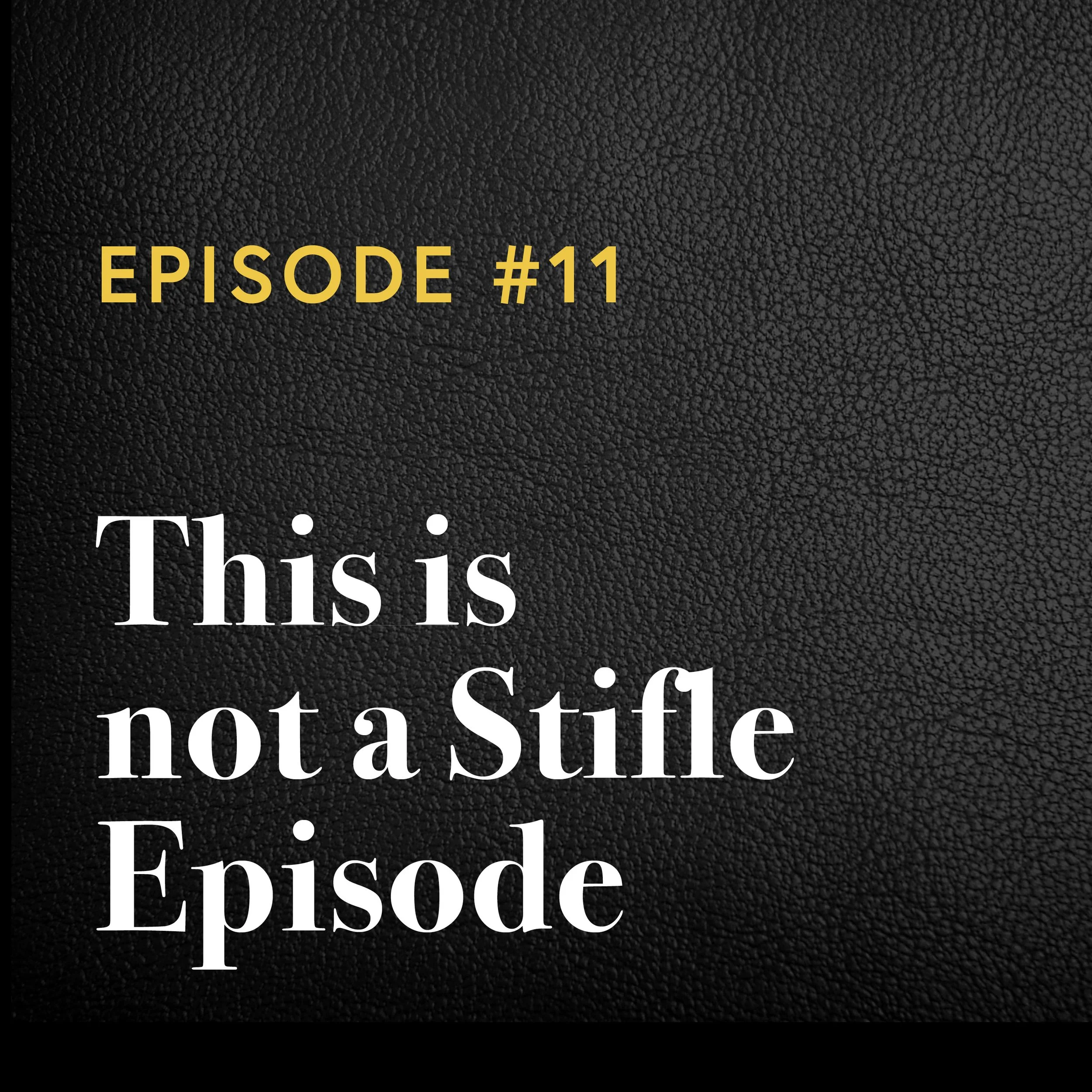 Episode #11: This is not a Stifle Episode