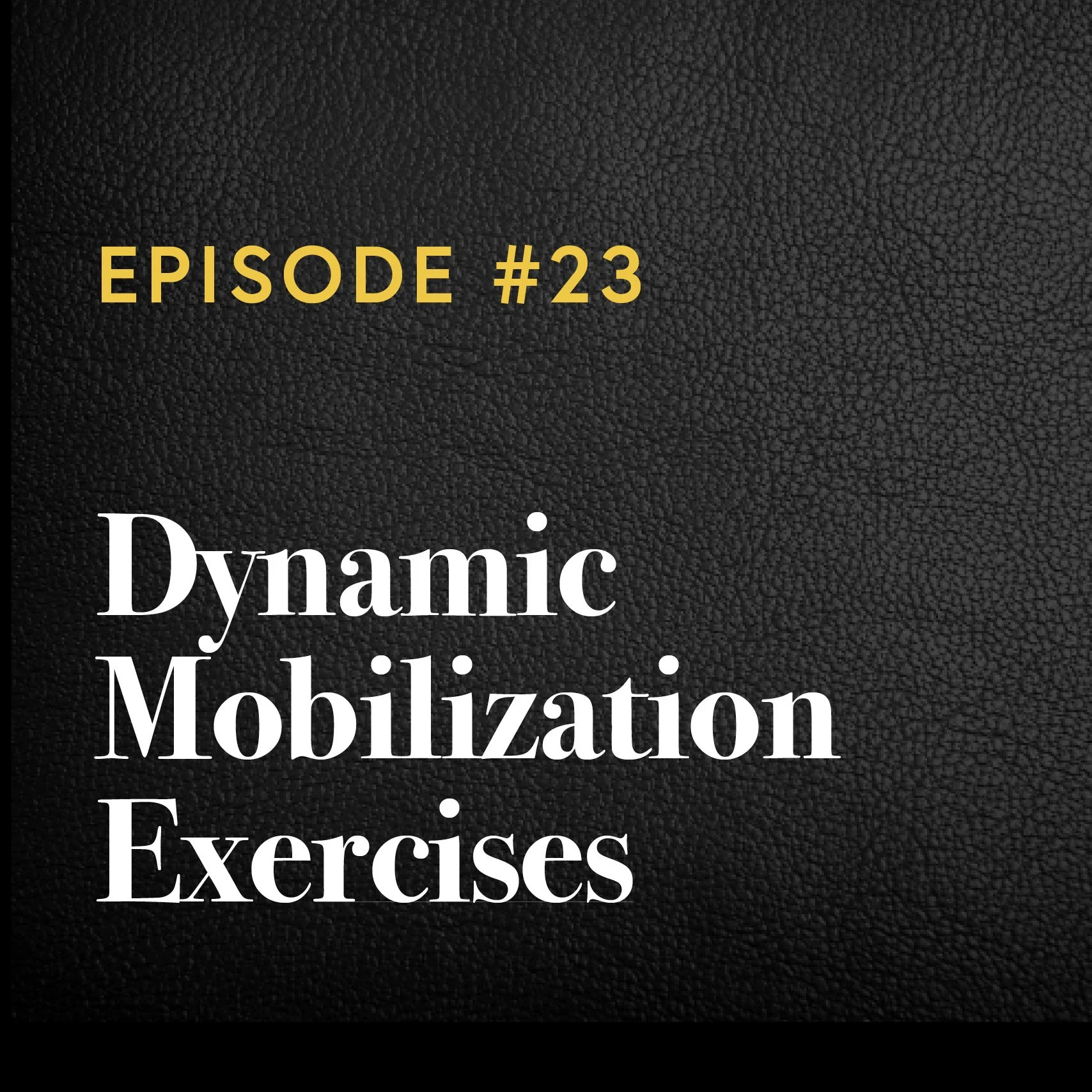 Episode #23: Dynamic Mobilization Exercises