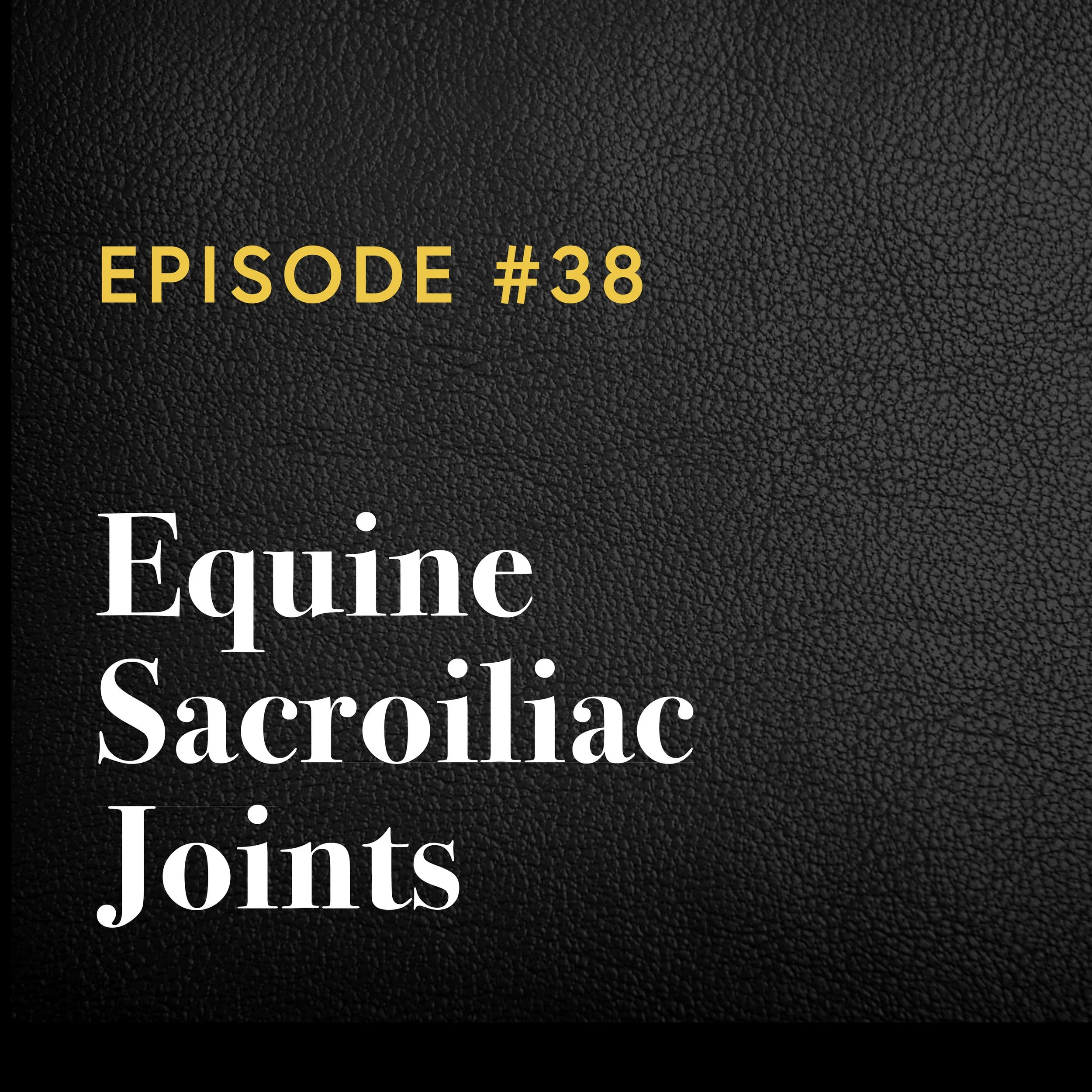 Episode #38: Equine Sacroiliac Joints