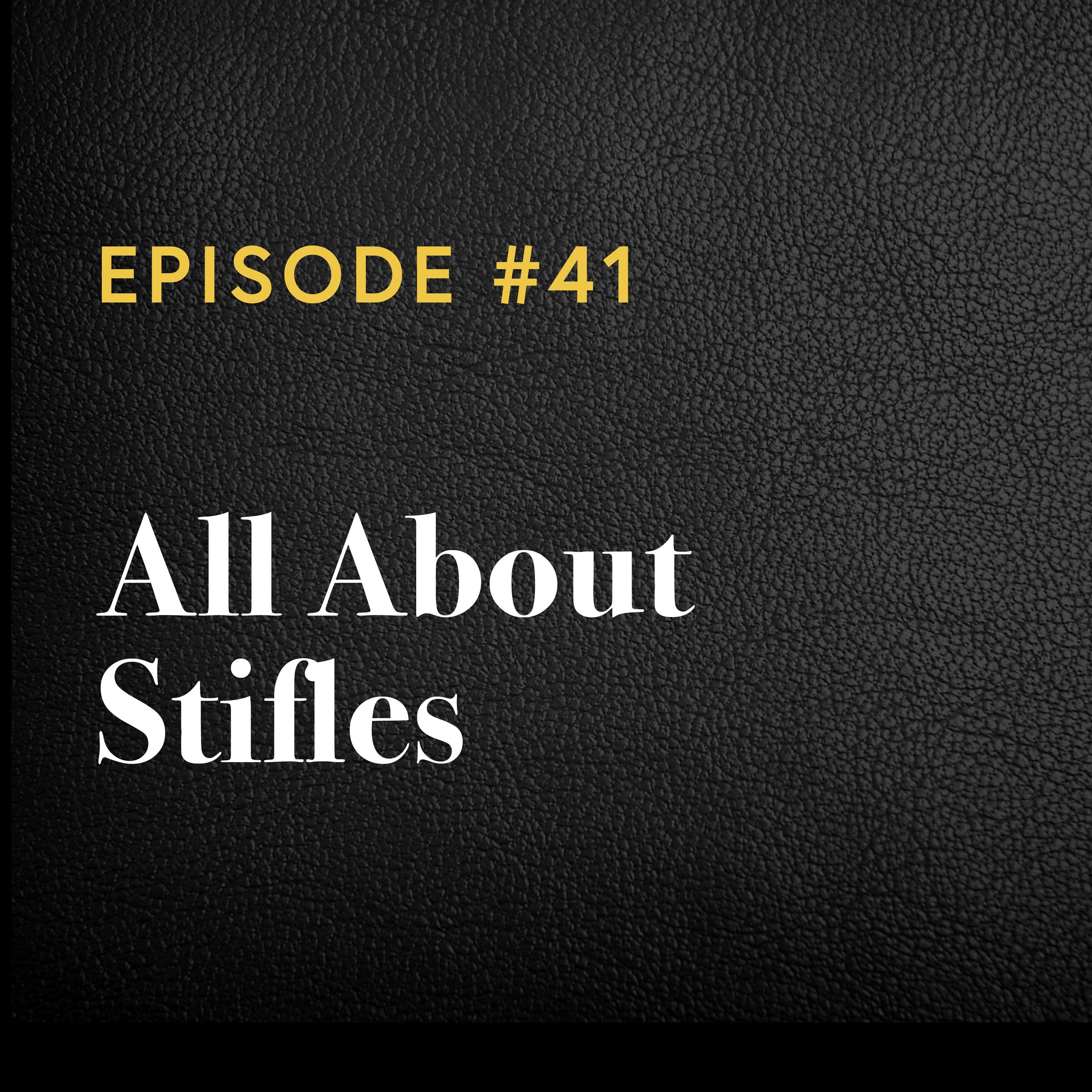 Episode #41: All About Stifles