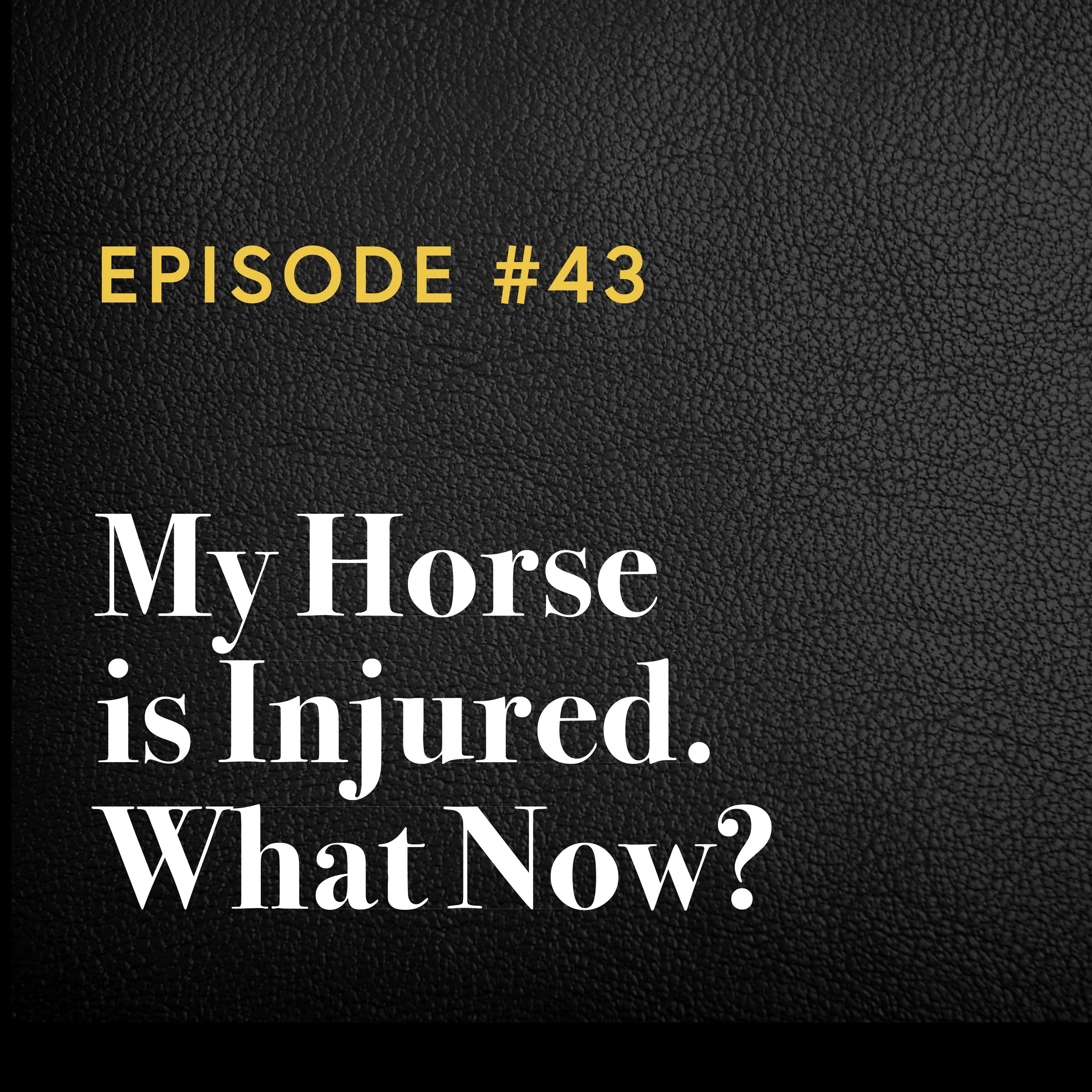 Episode #43: My Horse is Injured. What Now?