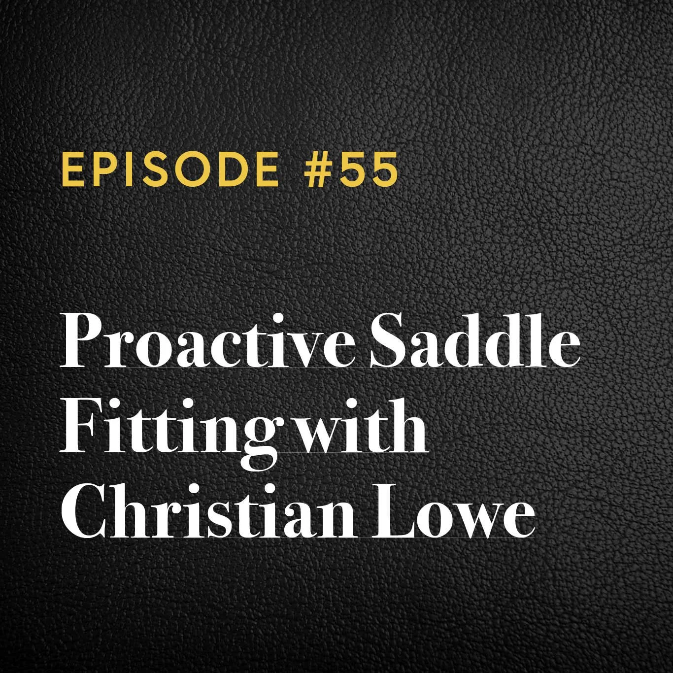 Episode #55: Proactive Saddle Fitting with Christian Lowe