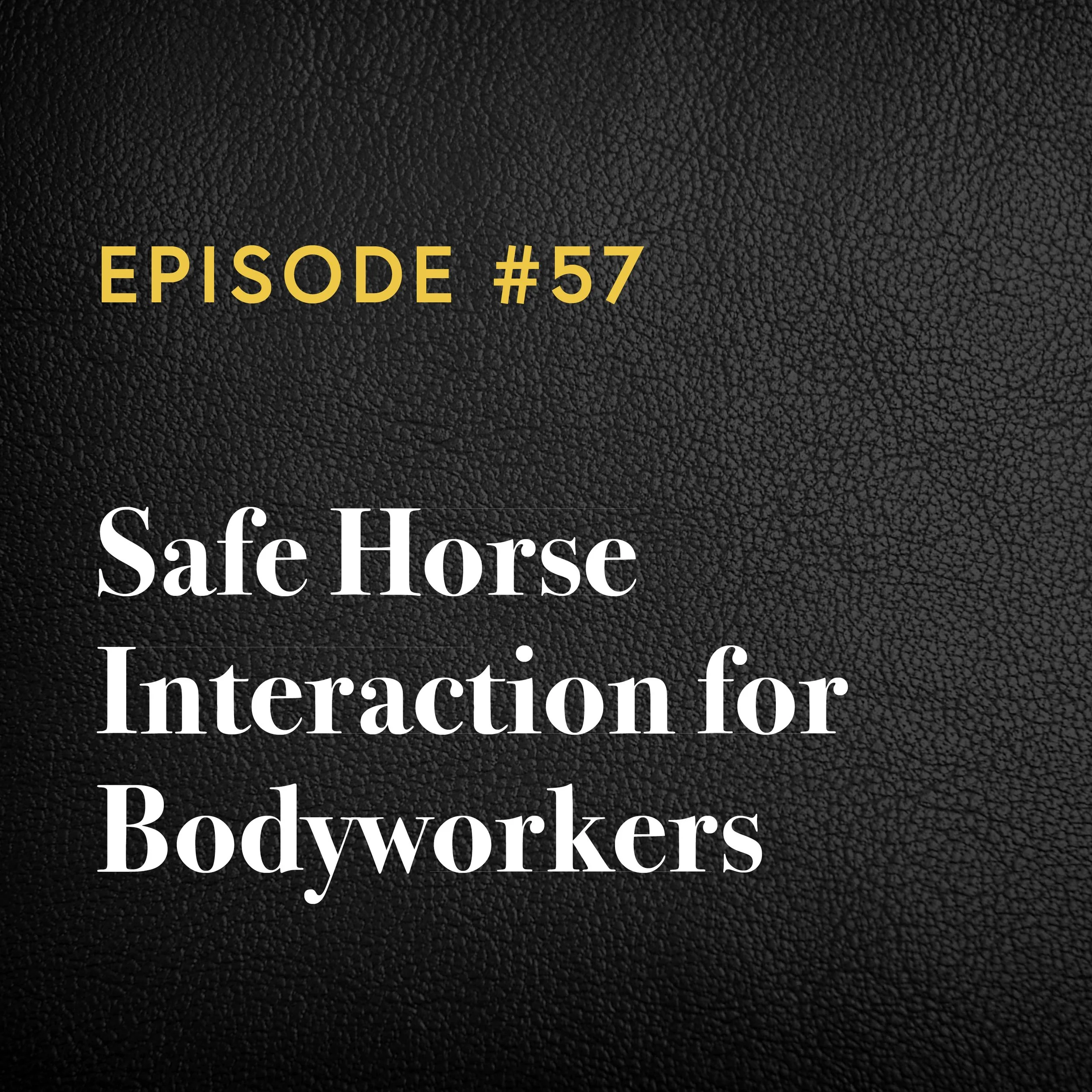 Episode #57: Safe Horse Interaction for Bodyworkers with Tom Shields