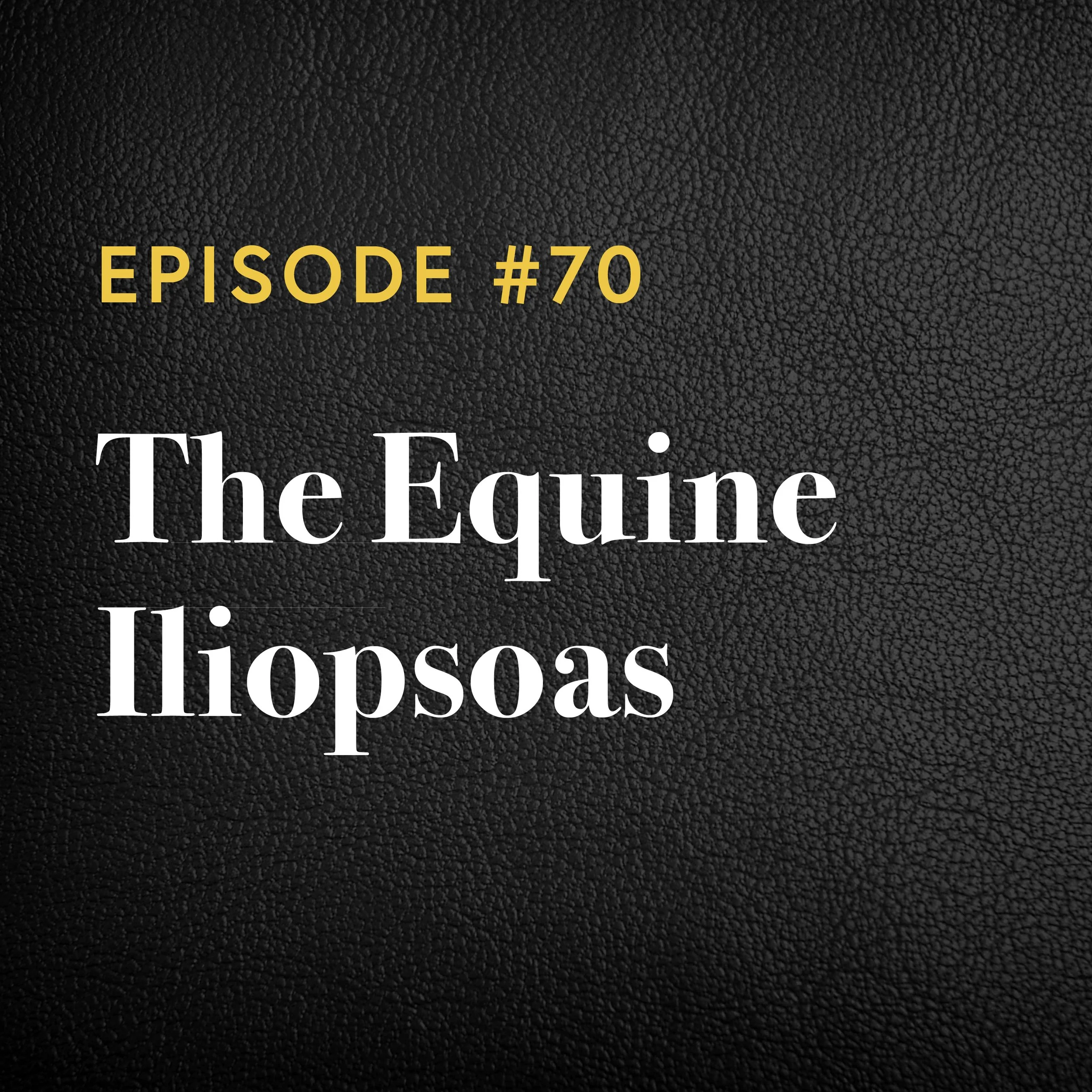 Episode #70: The Equine Iliopsoas