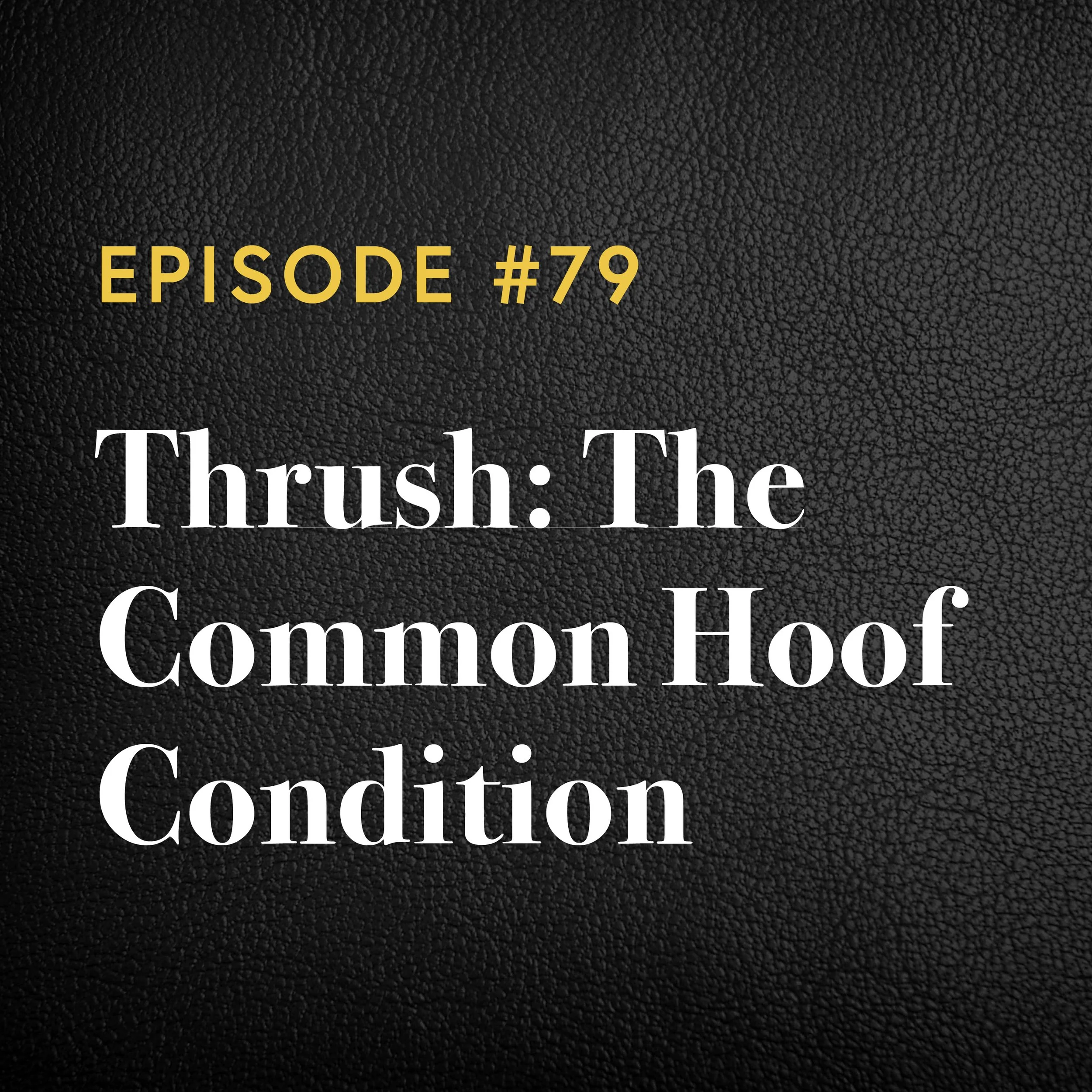 Episode #79: Thrush – The Common Hoof Condition 