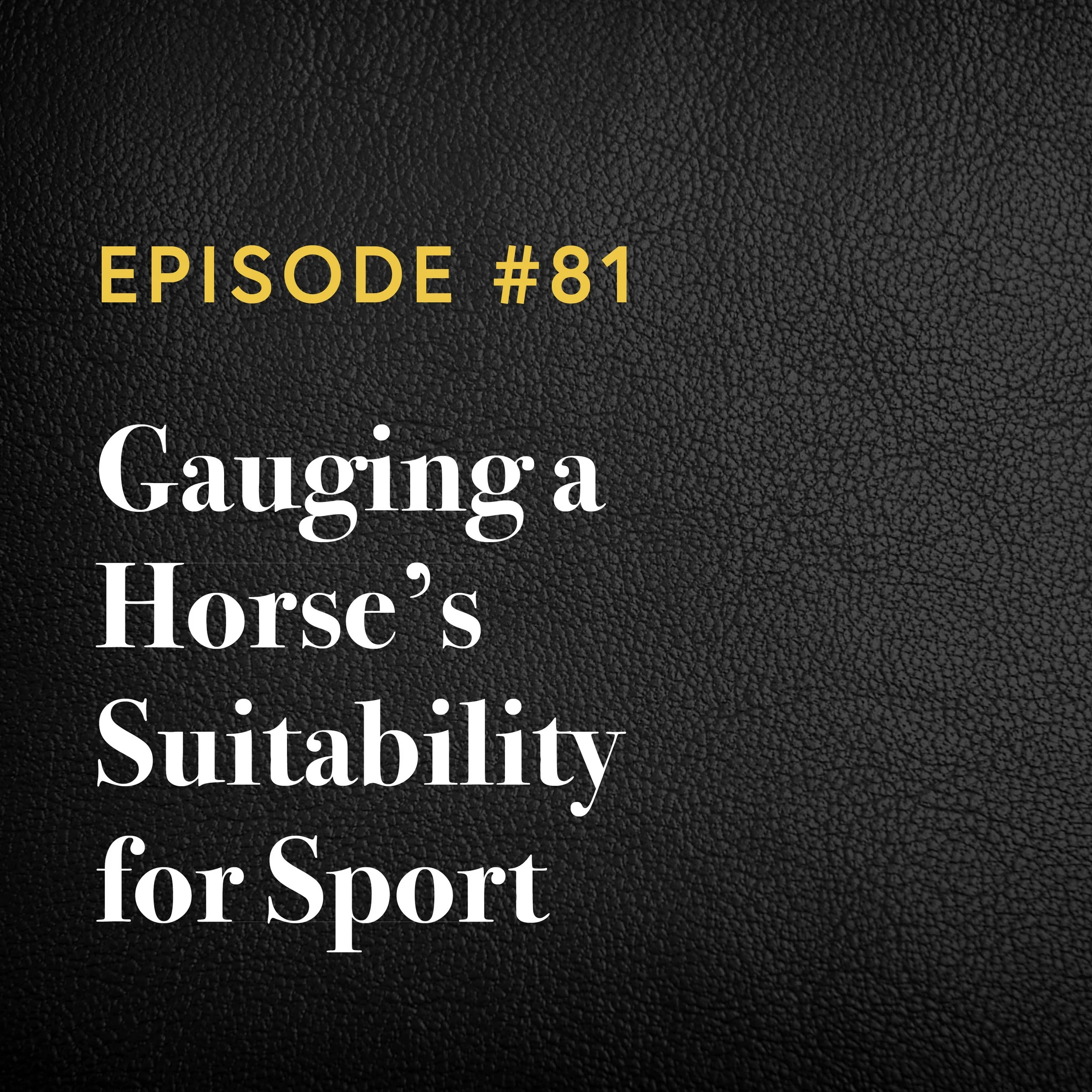 Episode #81: Gauging A Horse’s Suitability For Sport