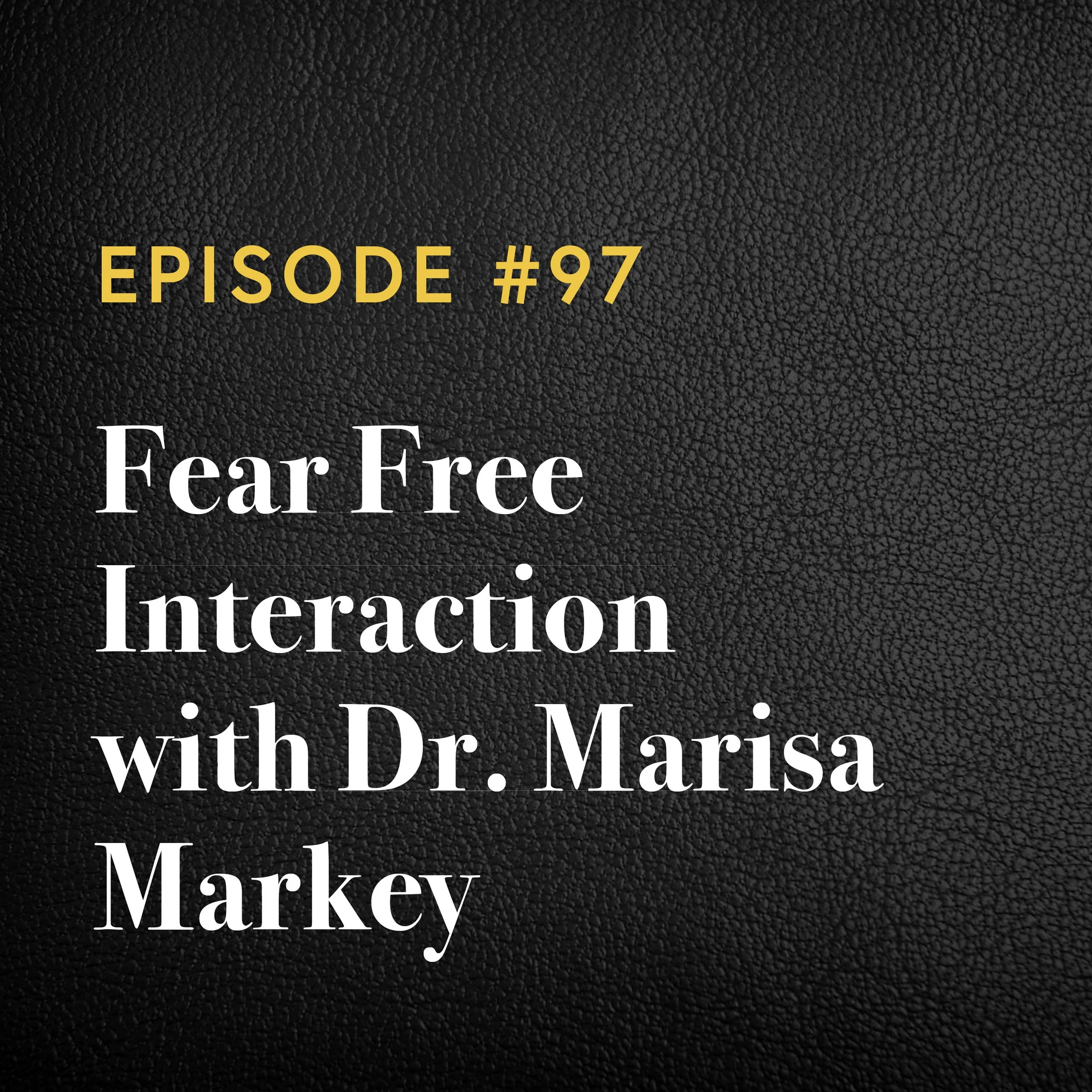 Episode #97: Fear Free Interaction with Dr. Marisa Markey