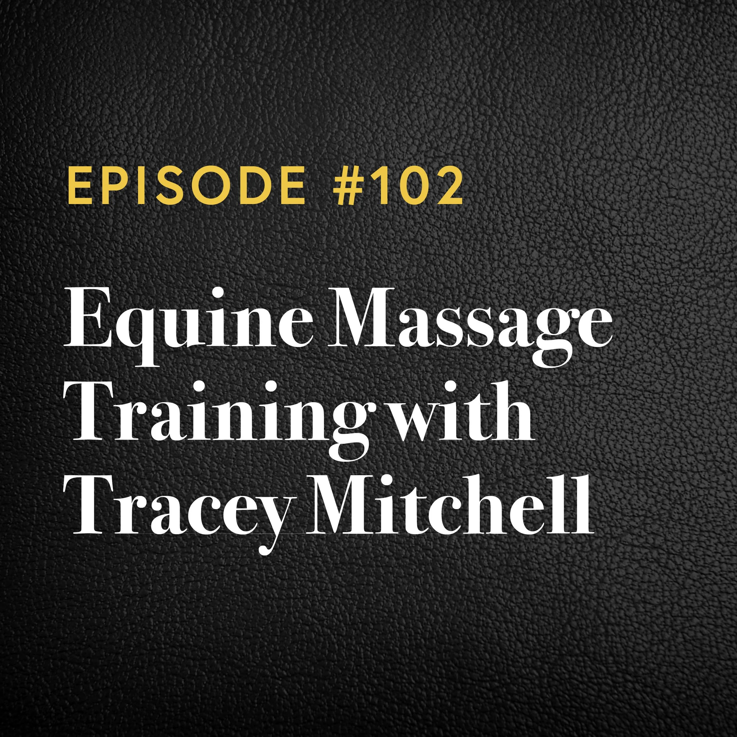 Episode #102: Equine Massage Training with Tracey Mitchell 