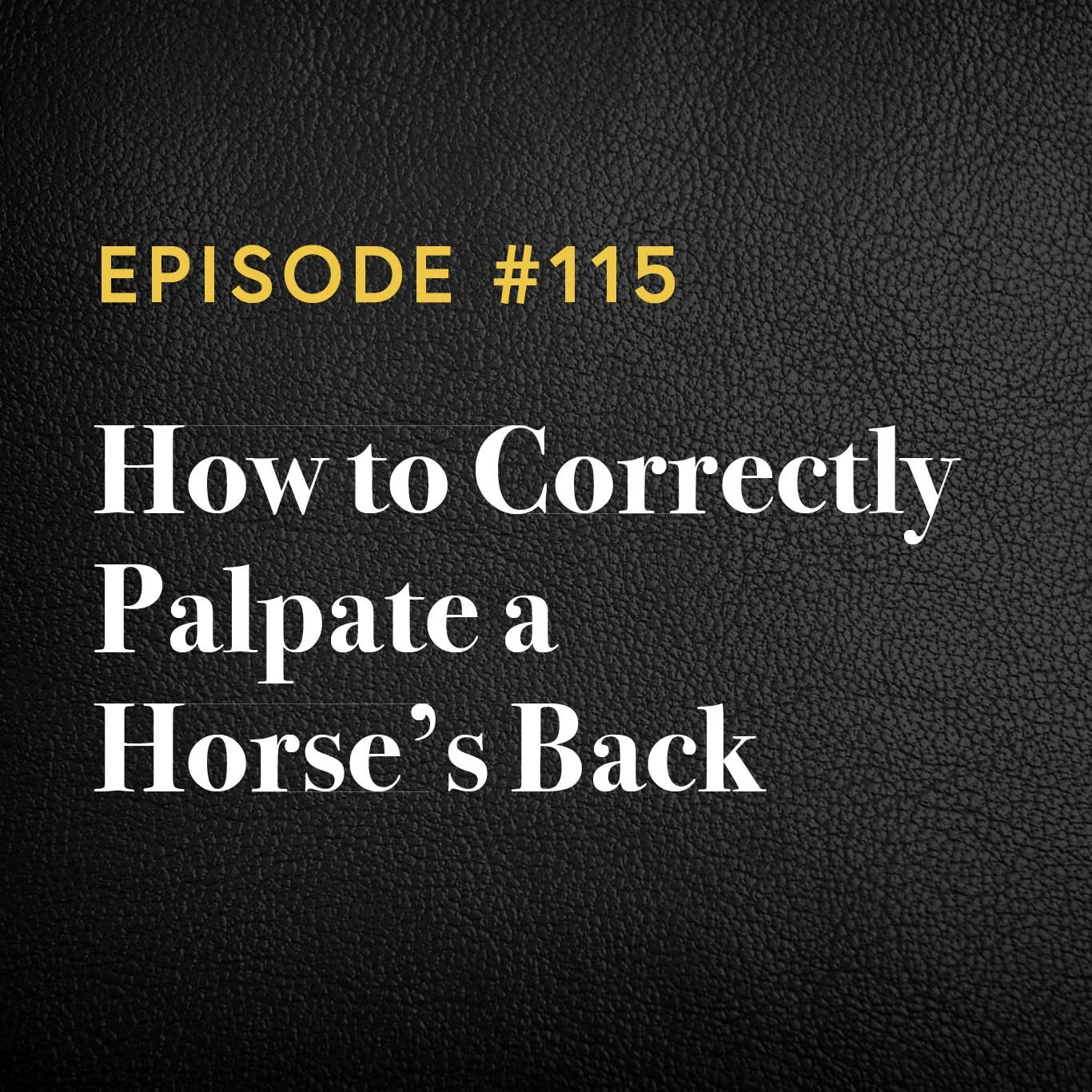 Episode #115: How to Correctly Palpate a Horse’s Back