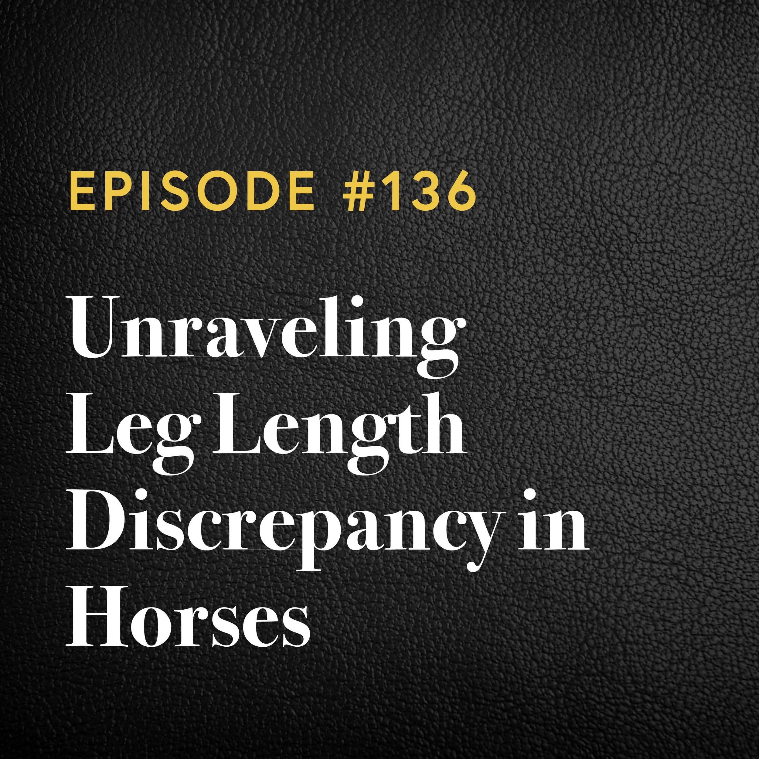 Episode #136: Unraveling Leg Length Discrepancy in Horses
