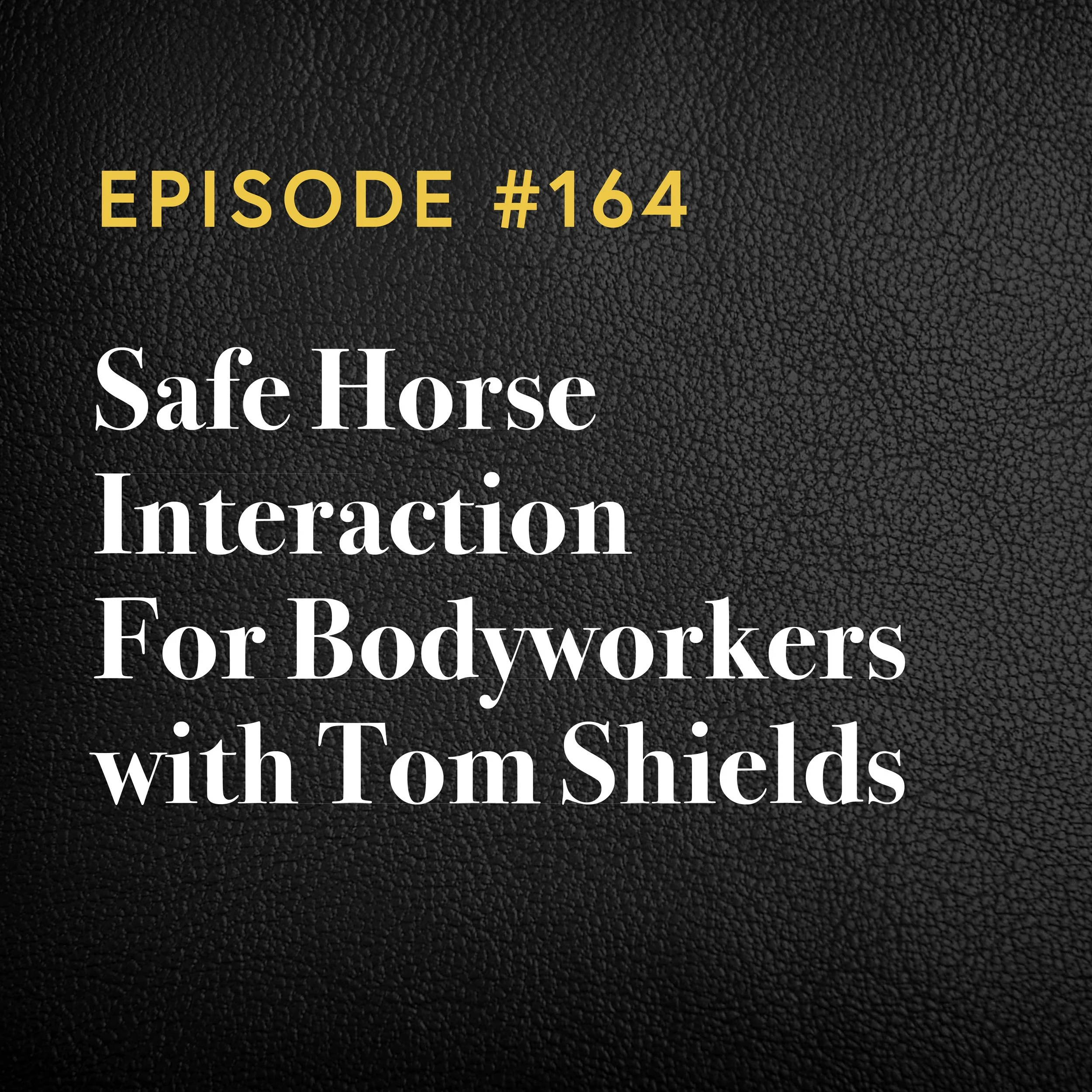 Episode #164: Safe Horse Interaction For Bodyworkers with Tom Shields