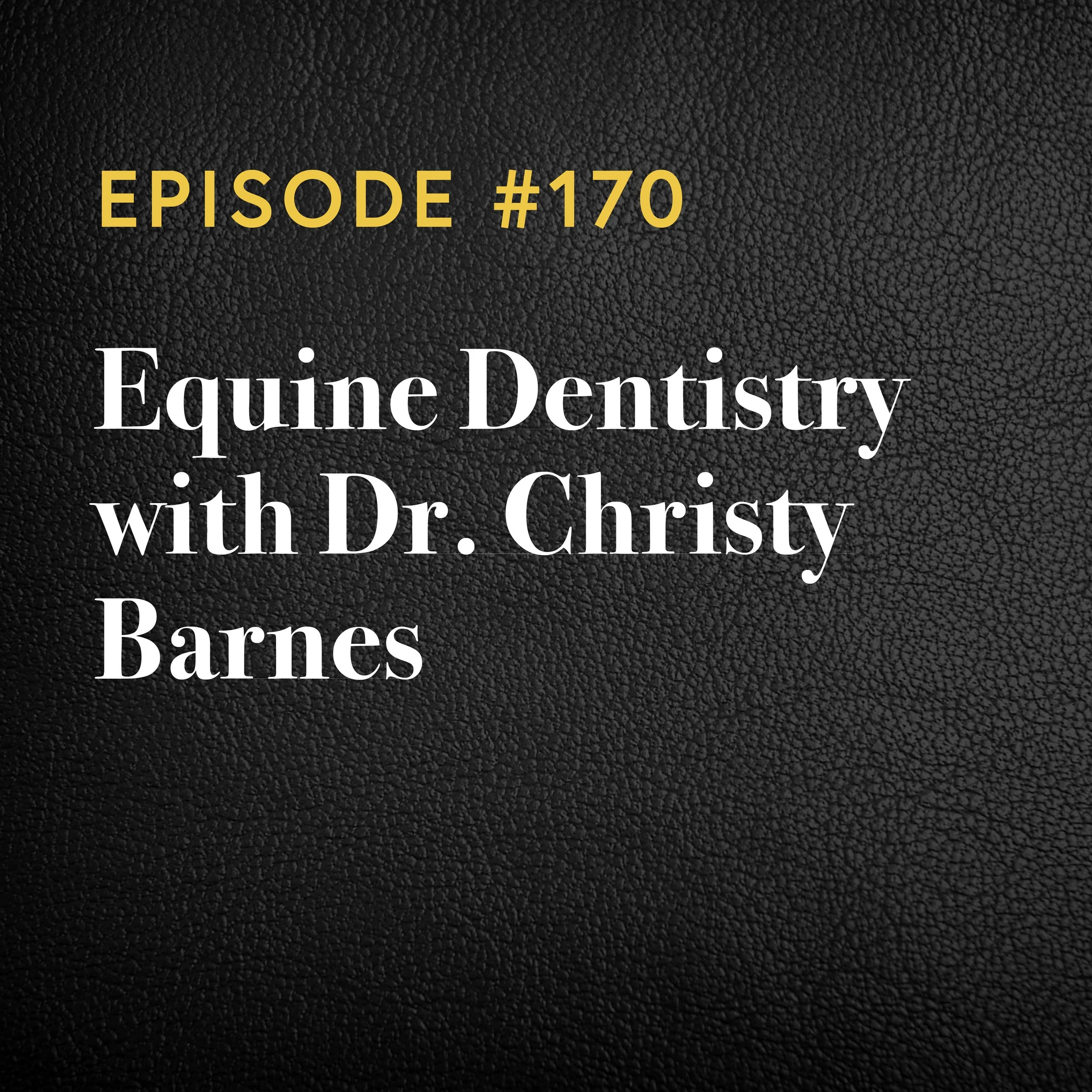 Episode #170: Equine Dentistry With Dr. Christy Barnes