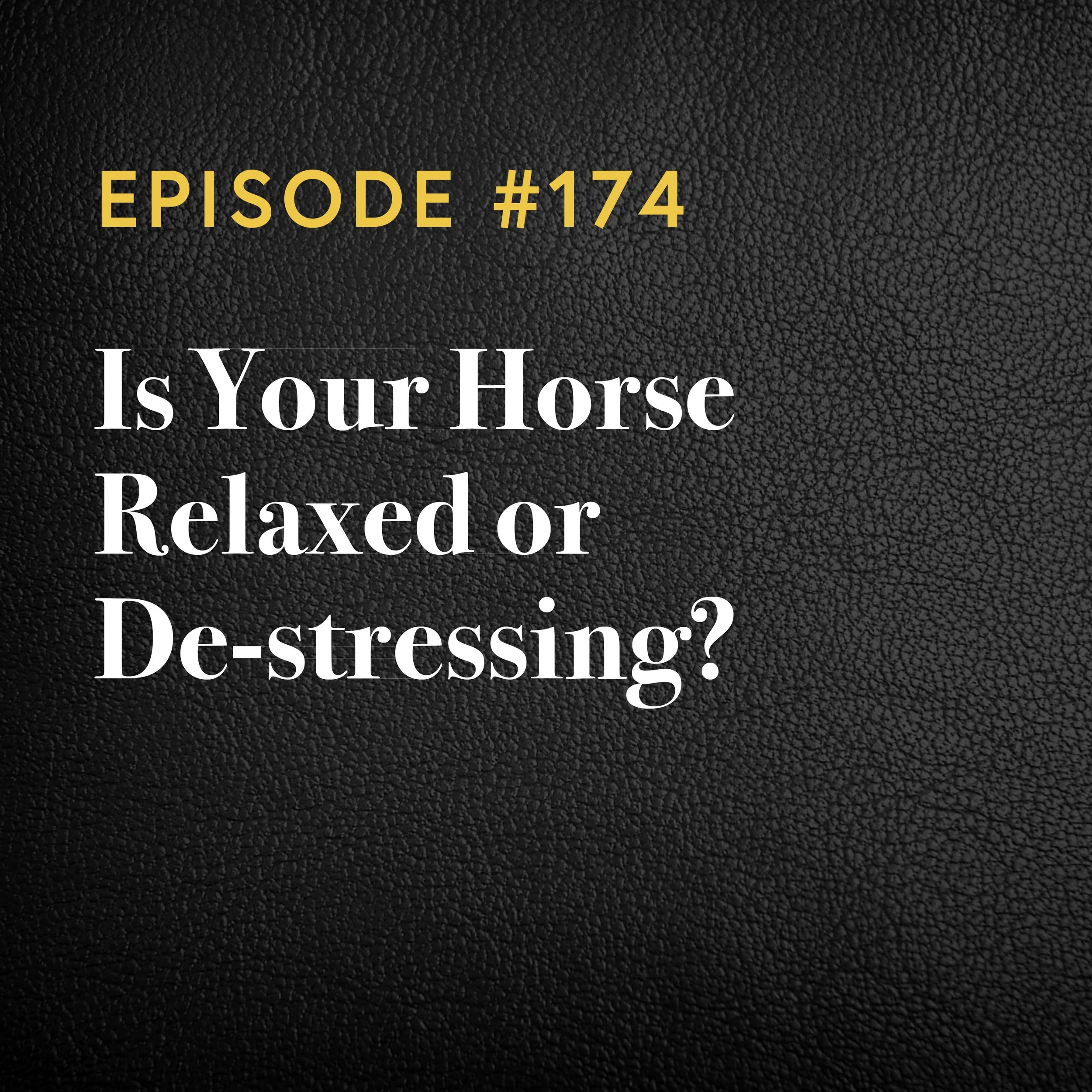 Episode #174: Is Your Horse Relaxed or De-stressing?