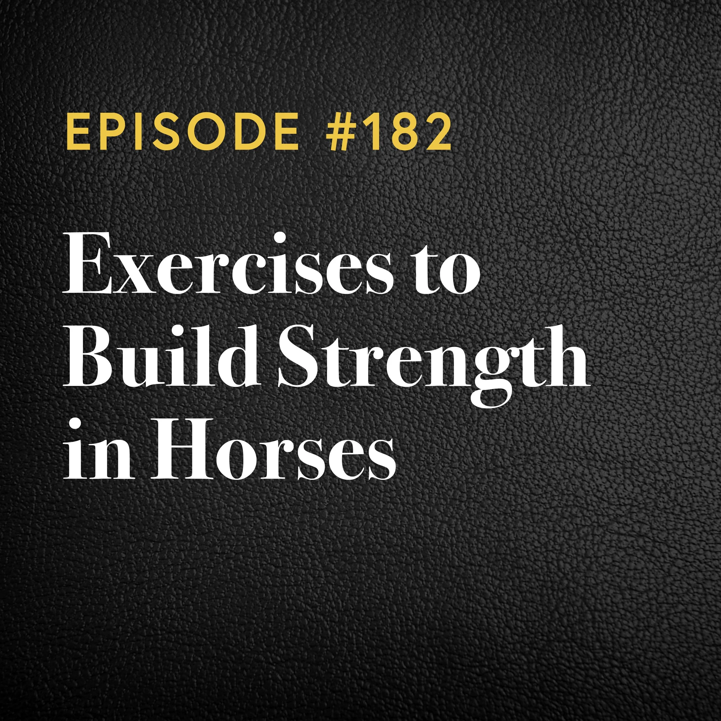 Episode #182: Exercises to Build Strength in Horses