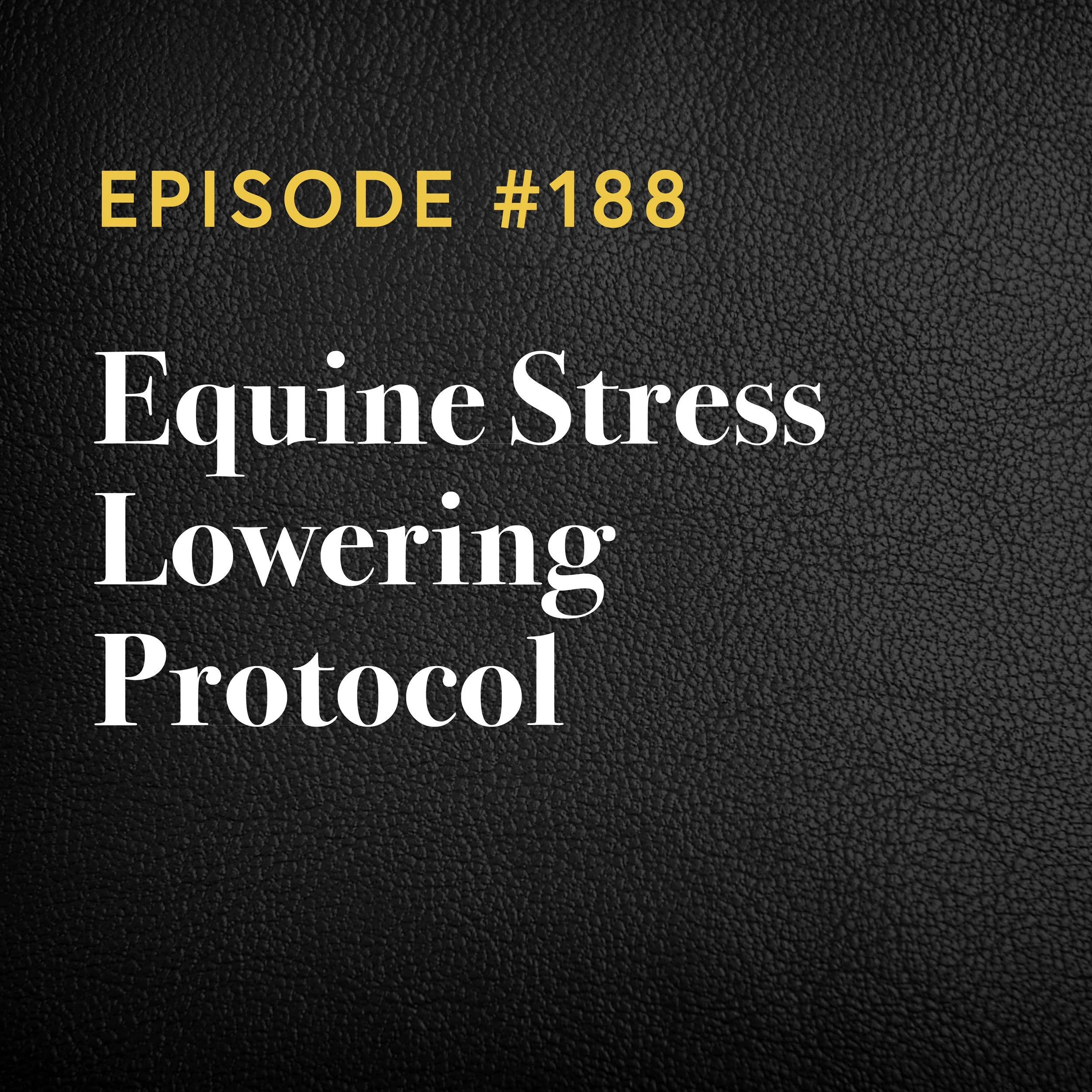 Episode #188: Equine Stress Lowering Protocol
