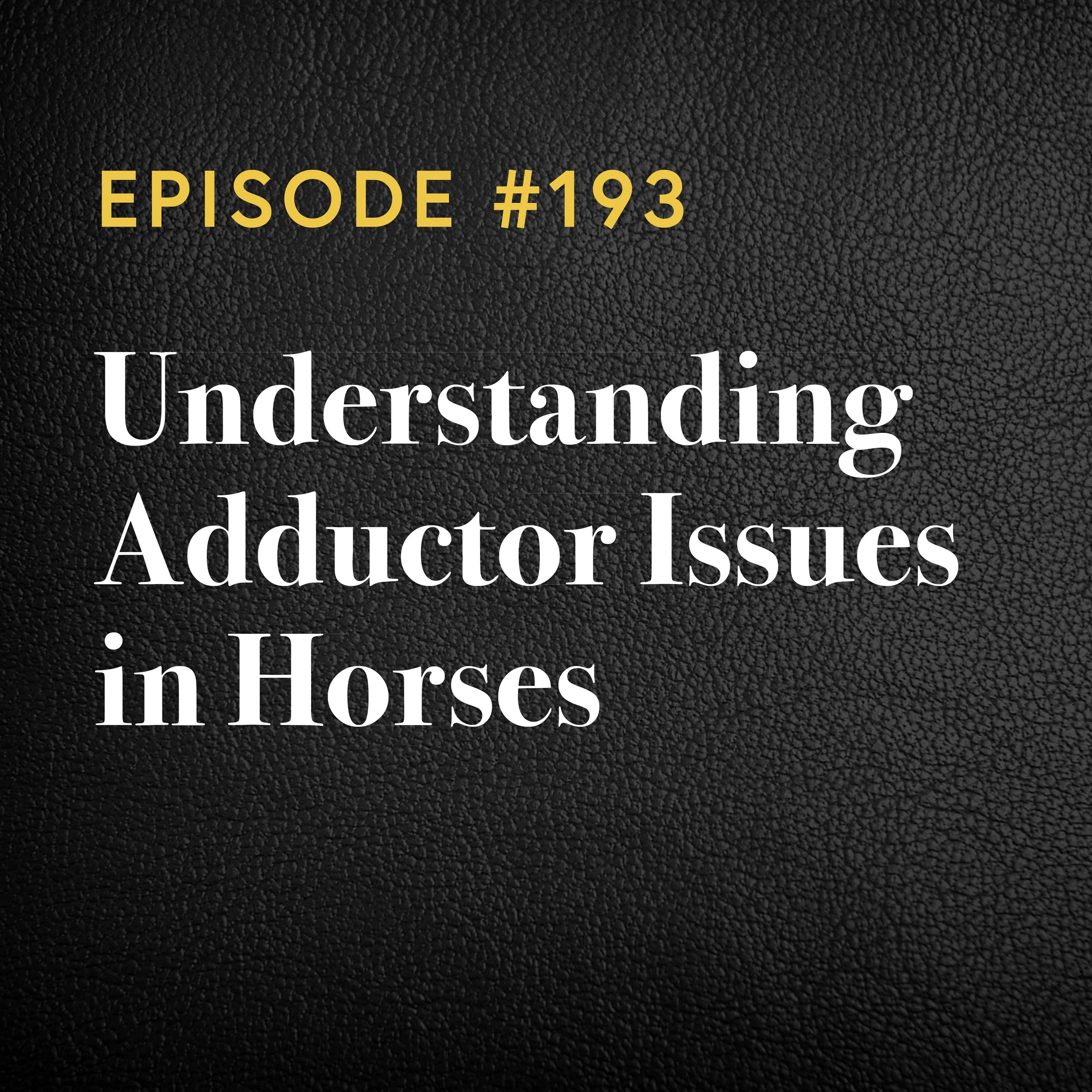 Episode #193: Understanding Adductor Issues in Horses