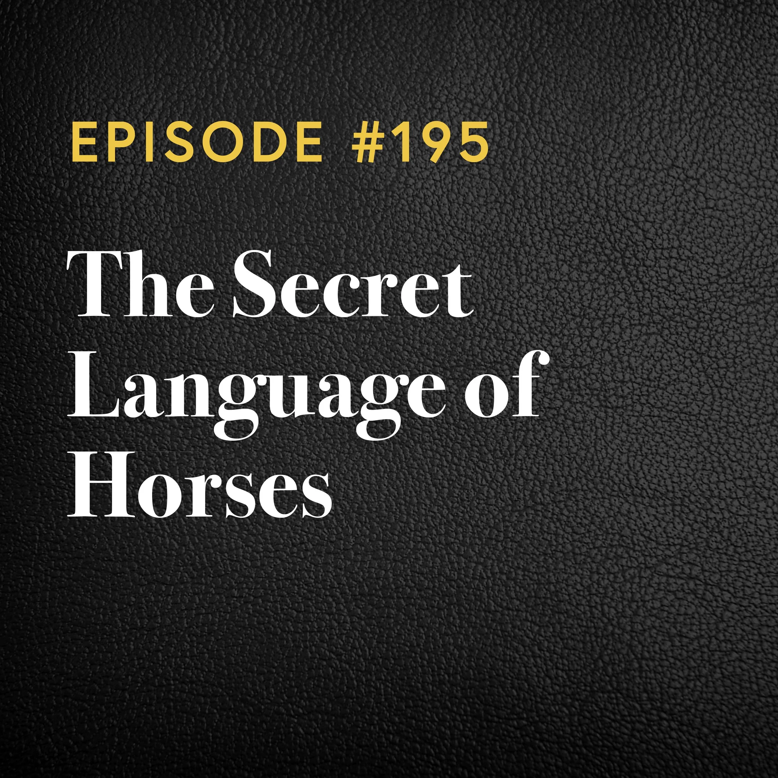 Episode #195: The Secret Language Of Horses