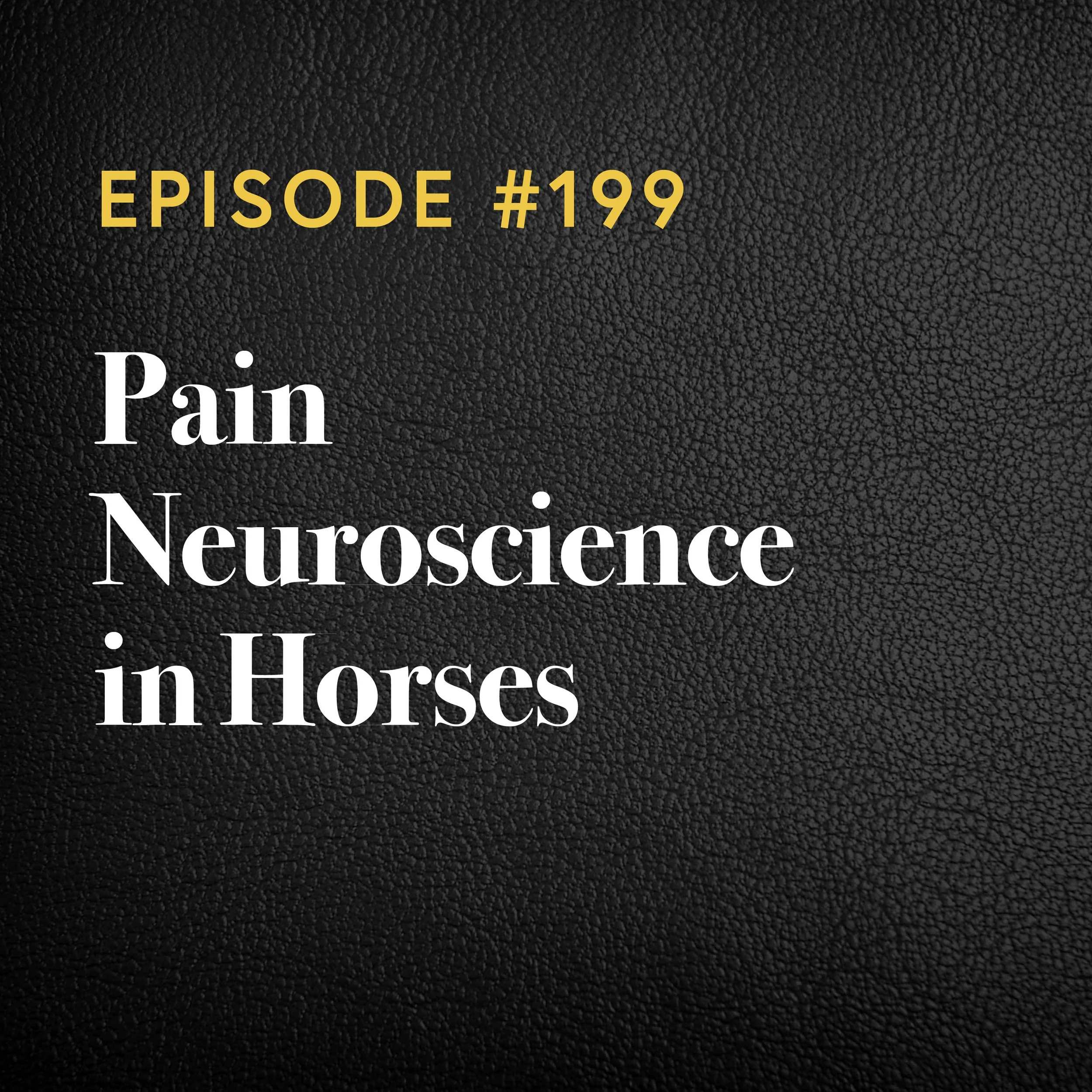 Episode #199: Pain Neuroscience In Horses