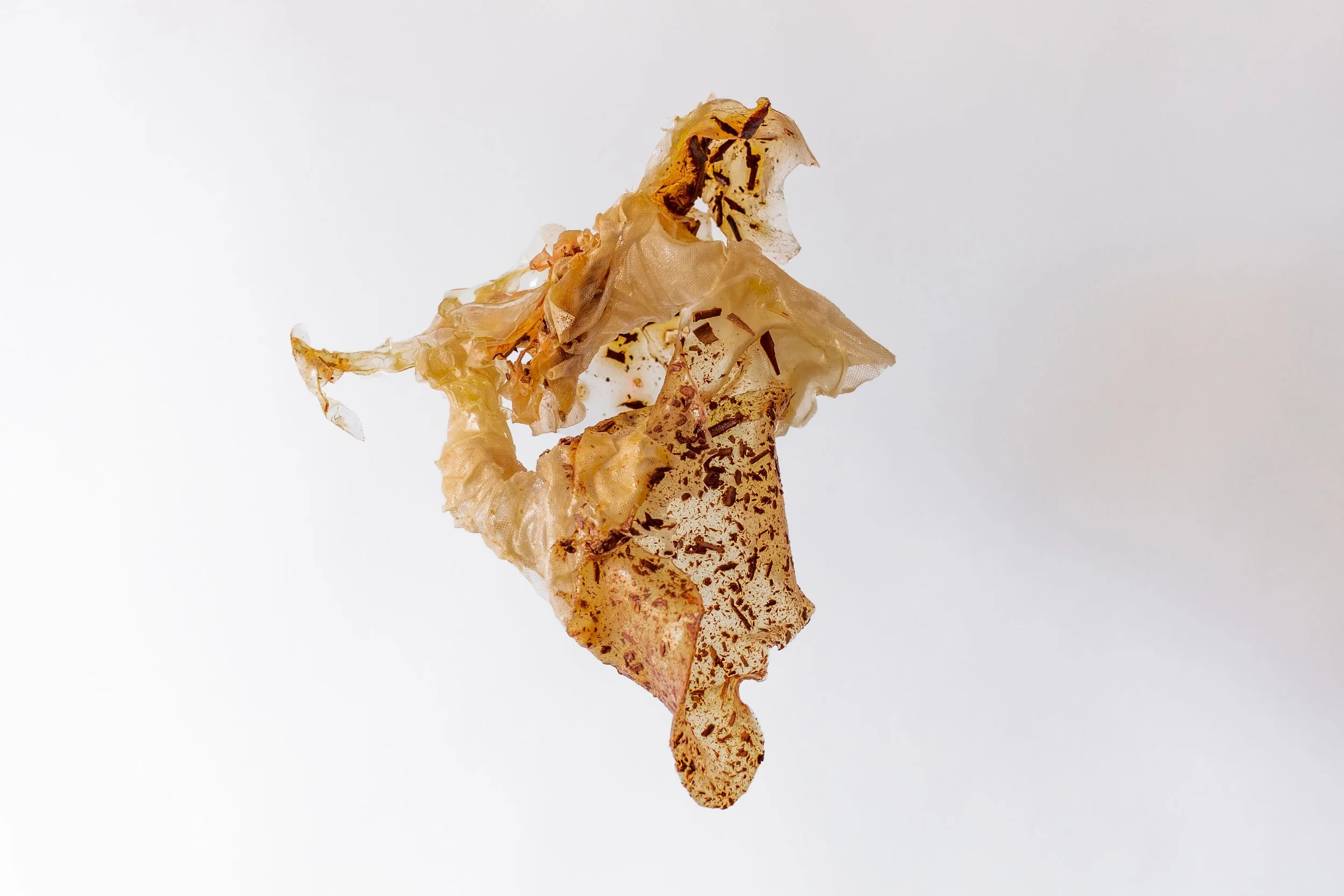 BUJSTUDIO_HUESOSTUDIO-114.jpg