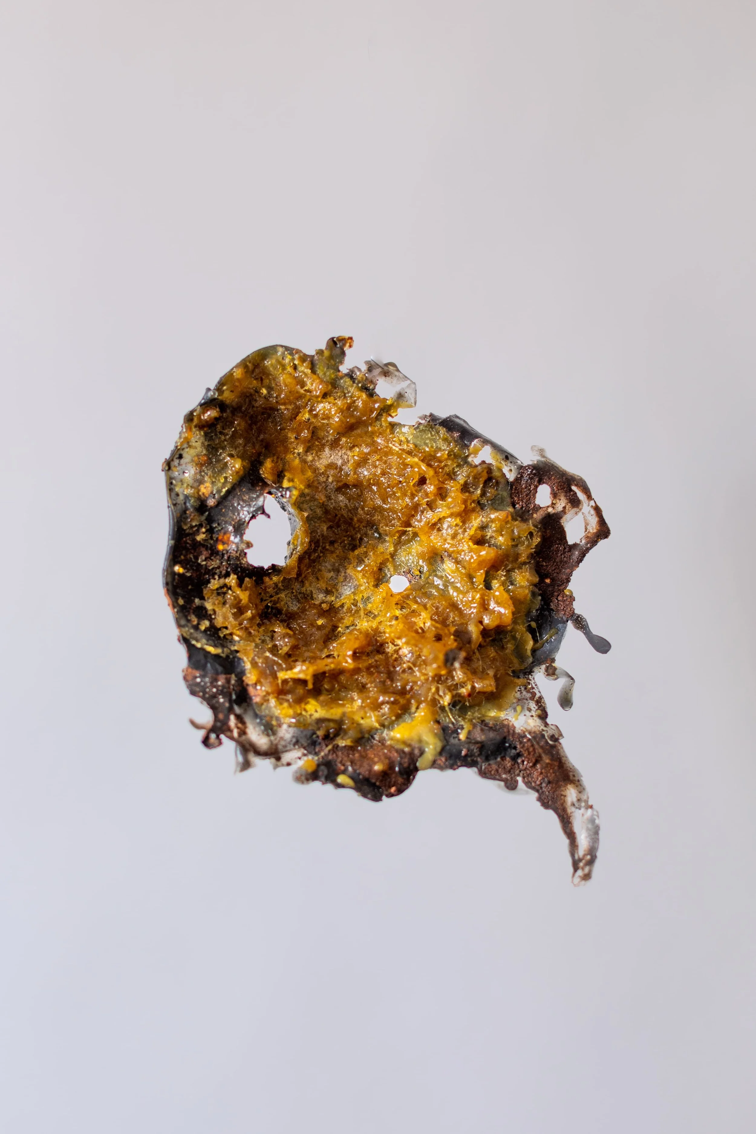 BUJSTUDIO_HUESOSTUDIO-56.jpg