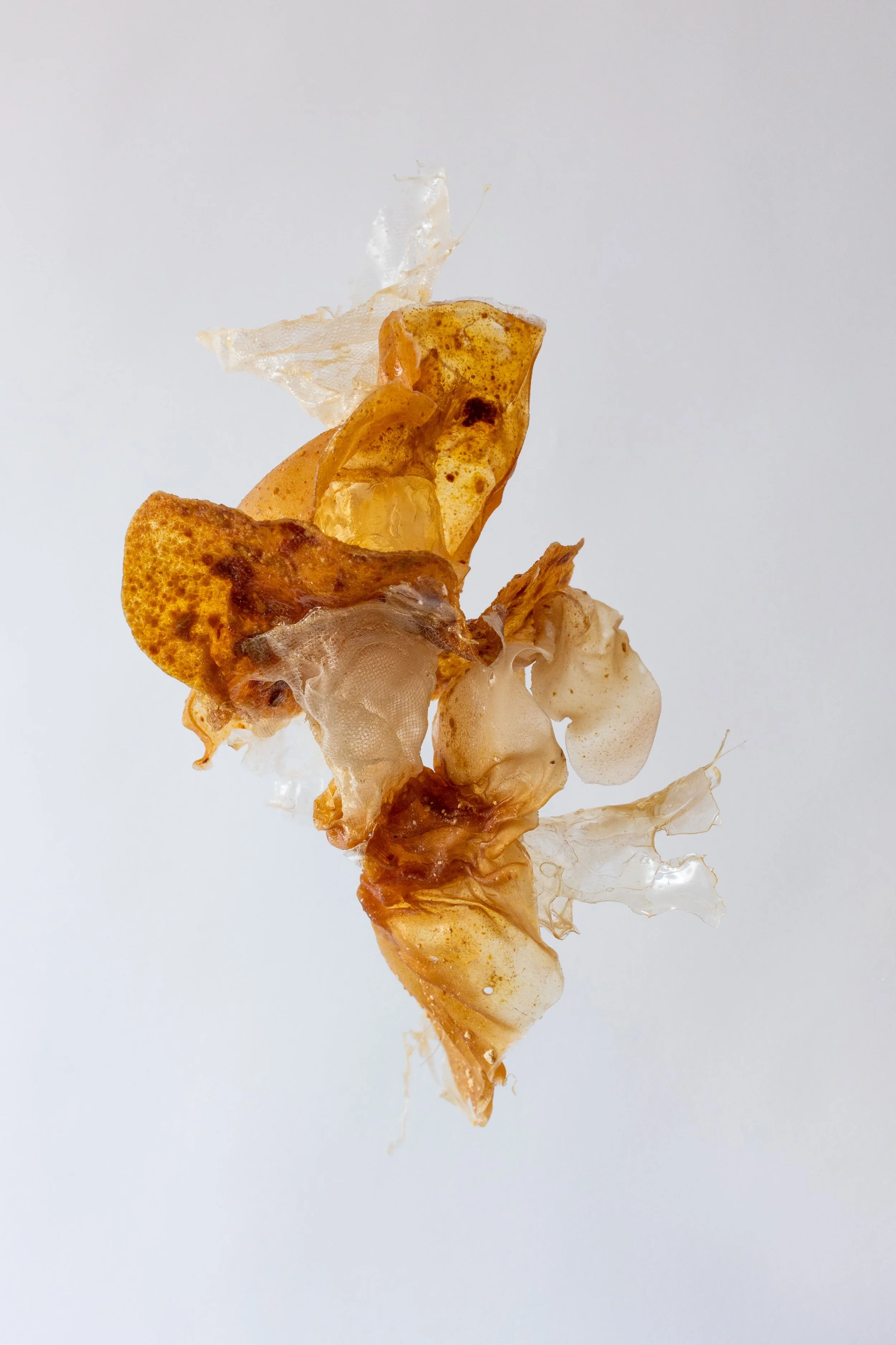 BUJSTUDIO_HUESOSTUDIO-11.jpg