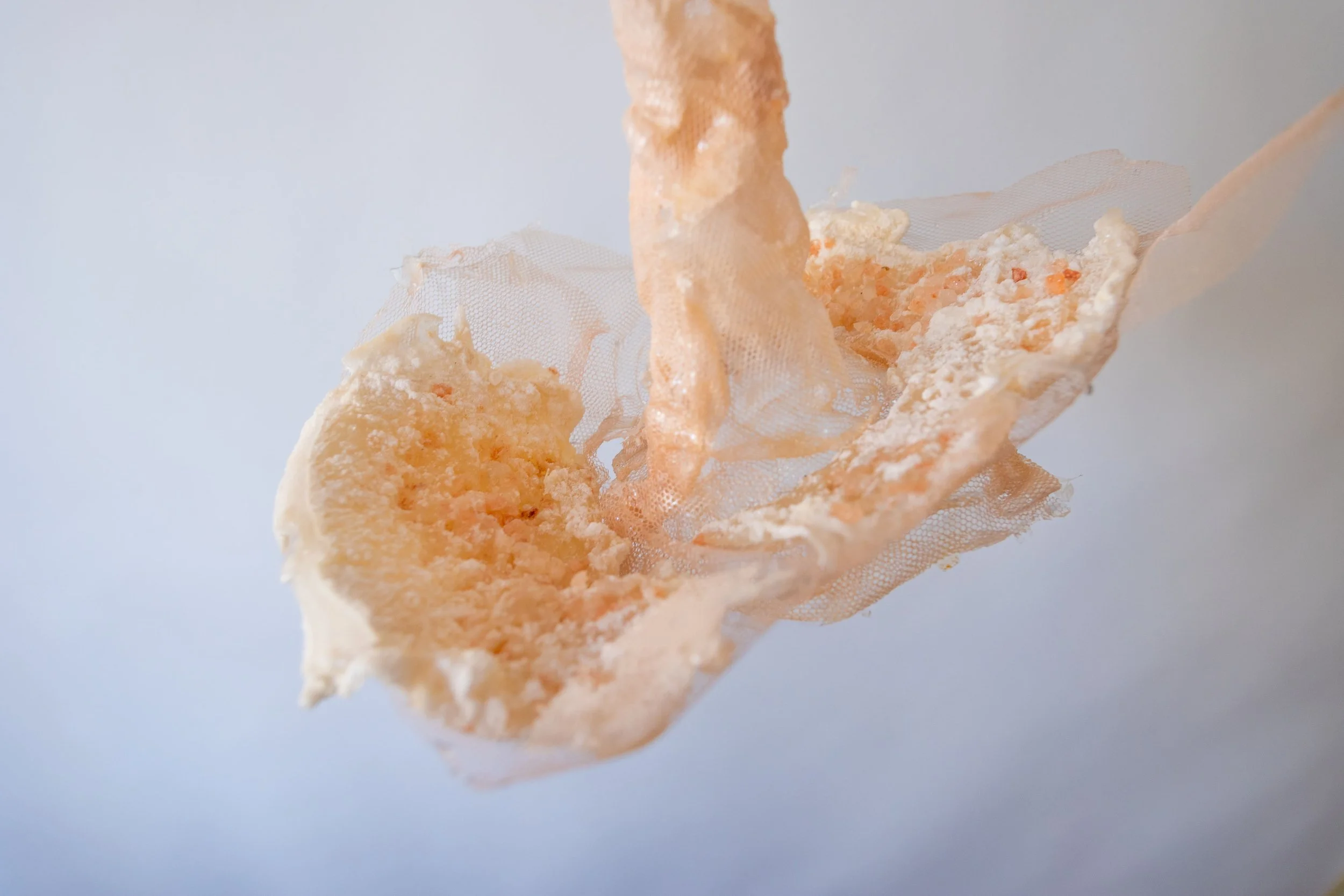 BUJSTUDIO_HUESOSTUDIO-48.jpg