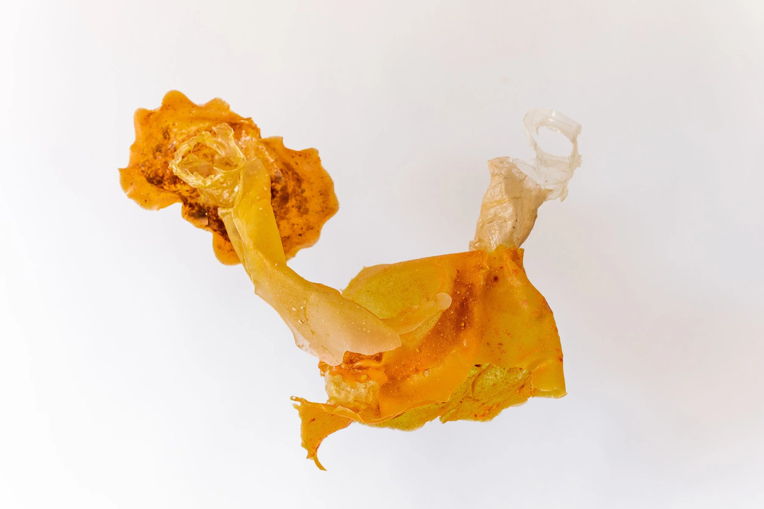 BUJSTUDIO_HUESOSTUDIO-117.jpg