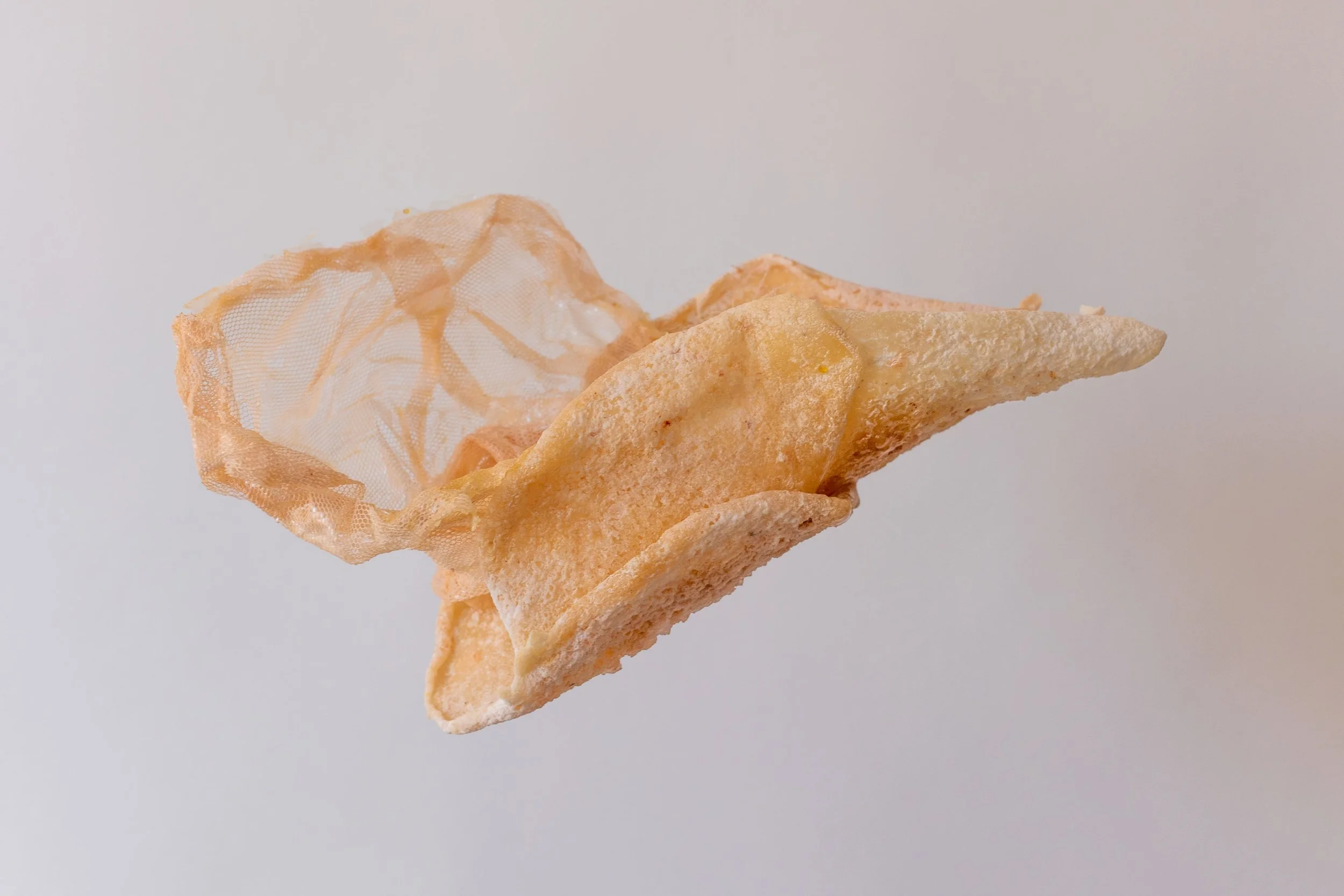 BUJSTUDIO_HUESOSTUDIO-54.jpg