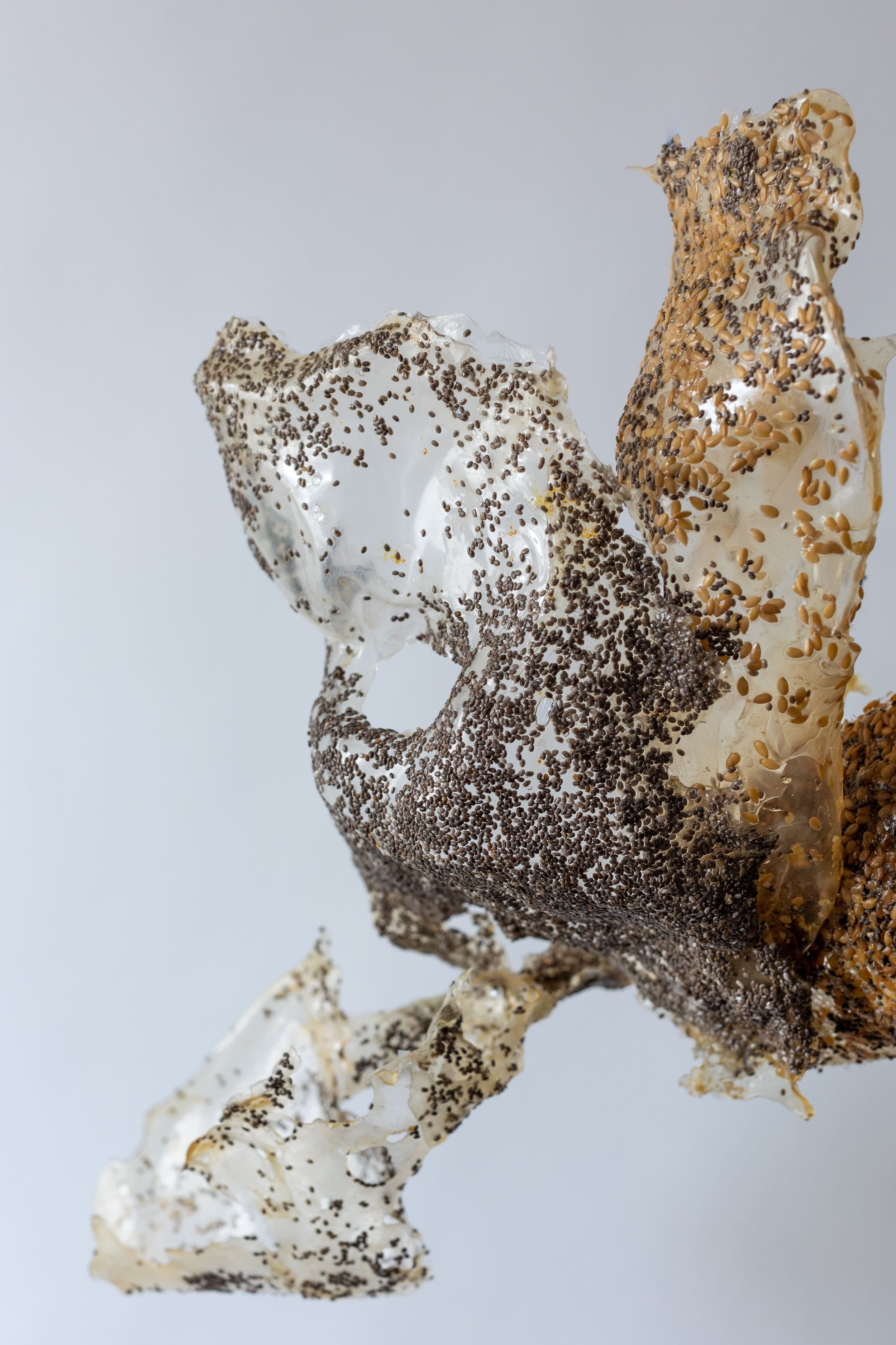 BUJSTUDIO_HUESOSTUDIO-21.jpg
