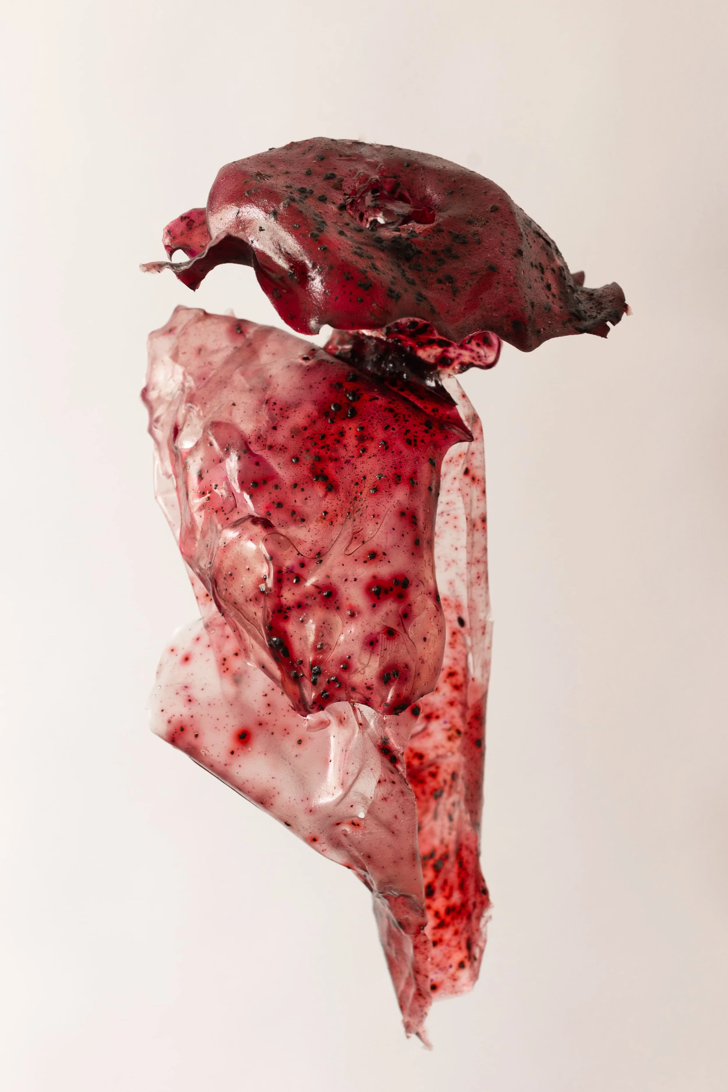 BUJSTUDIO_HUESOSTUDIO-2.jpg