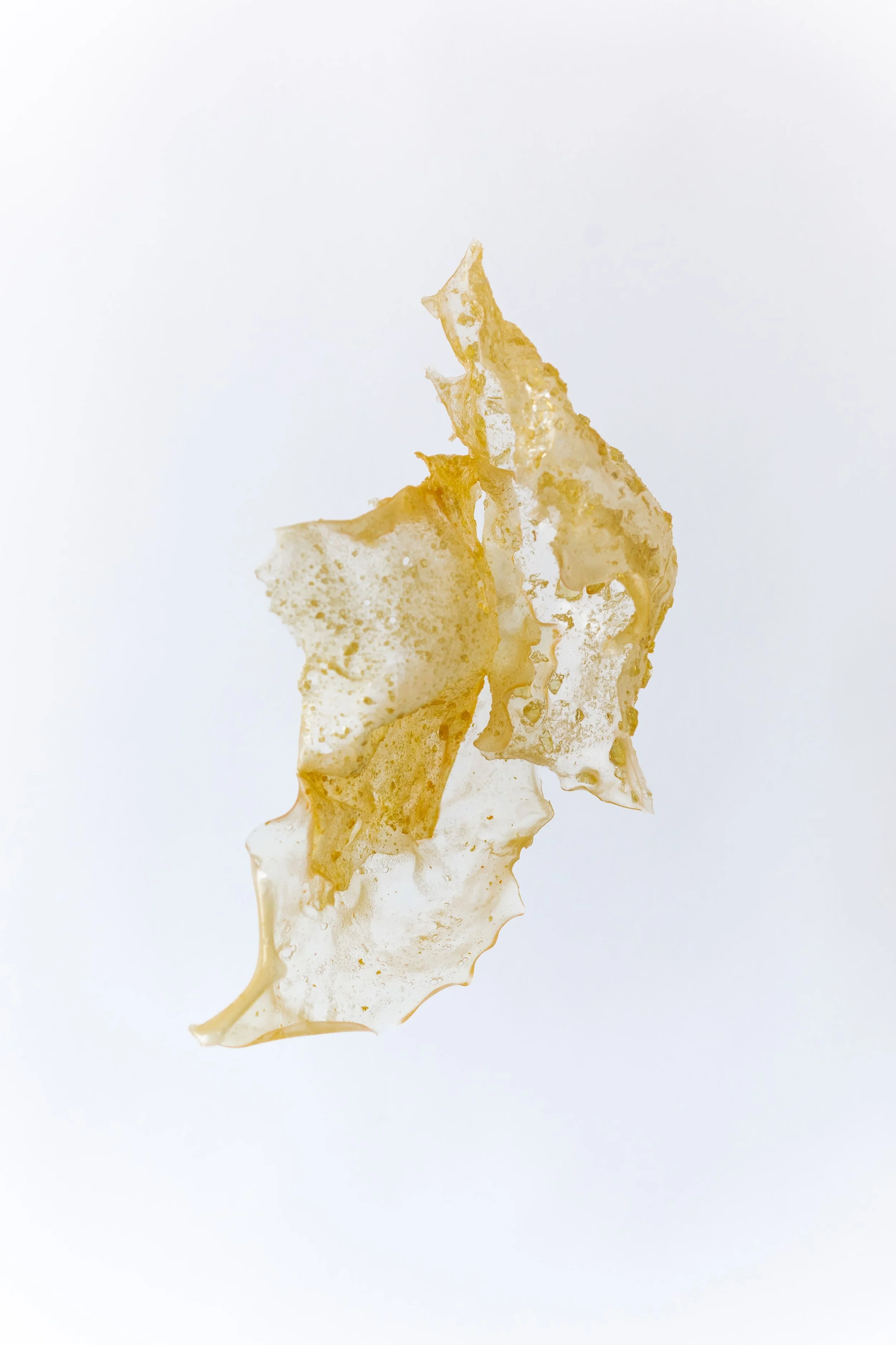 BUJSTUDIO_HUESOSTUDIO-101.jpg