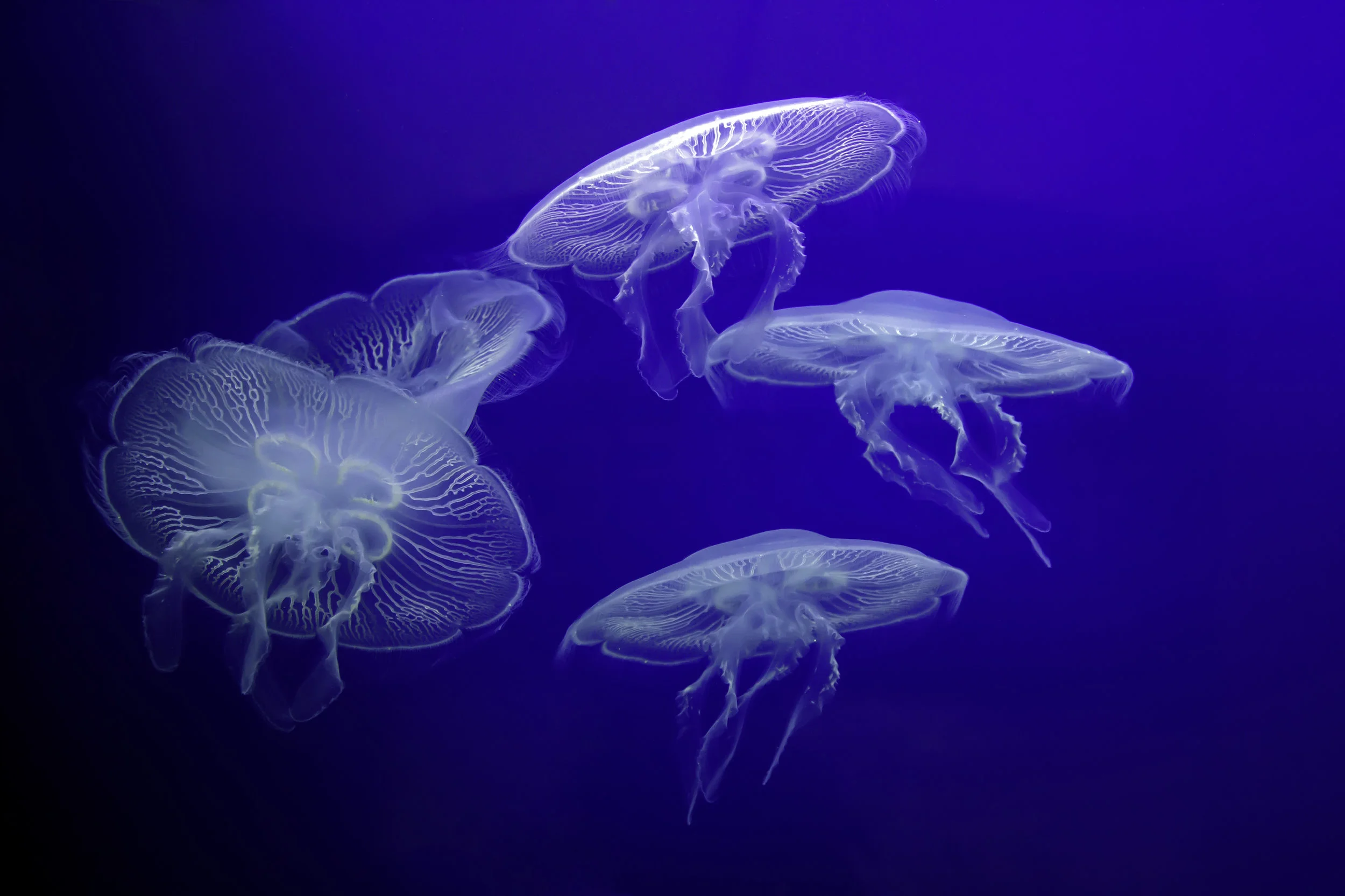 AdobeStock_42150395.jpeg