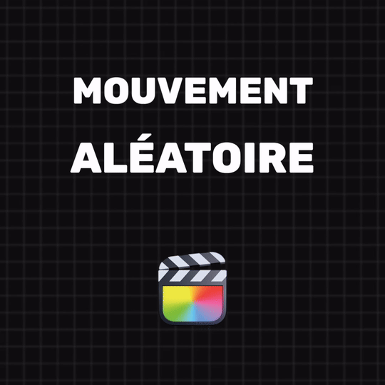 Mouvement aléatoire GIF.gif