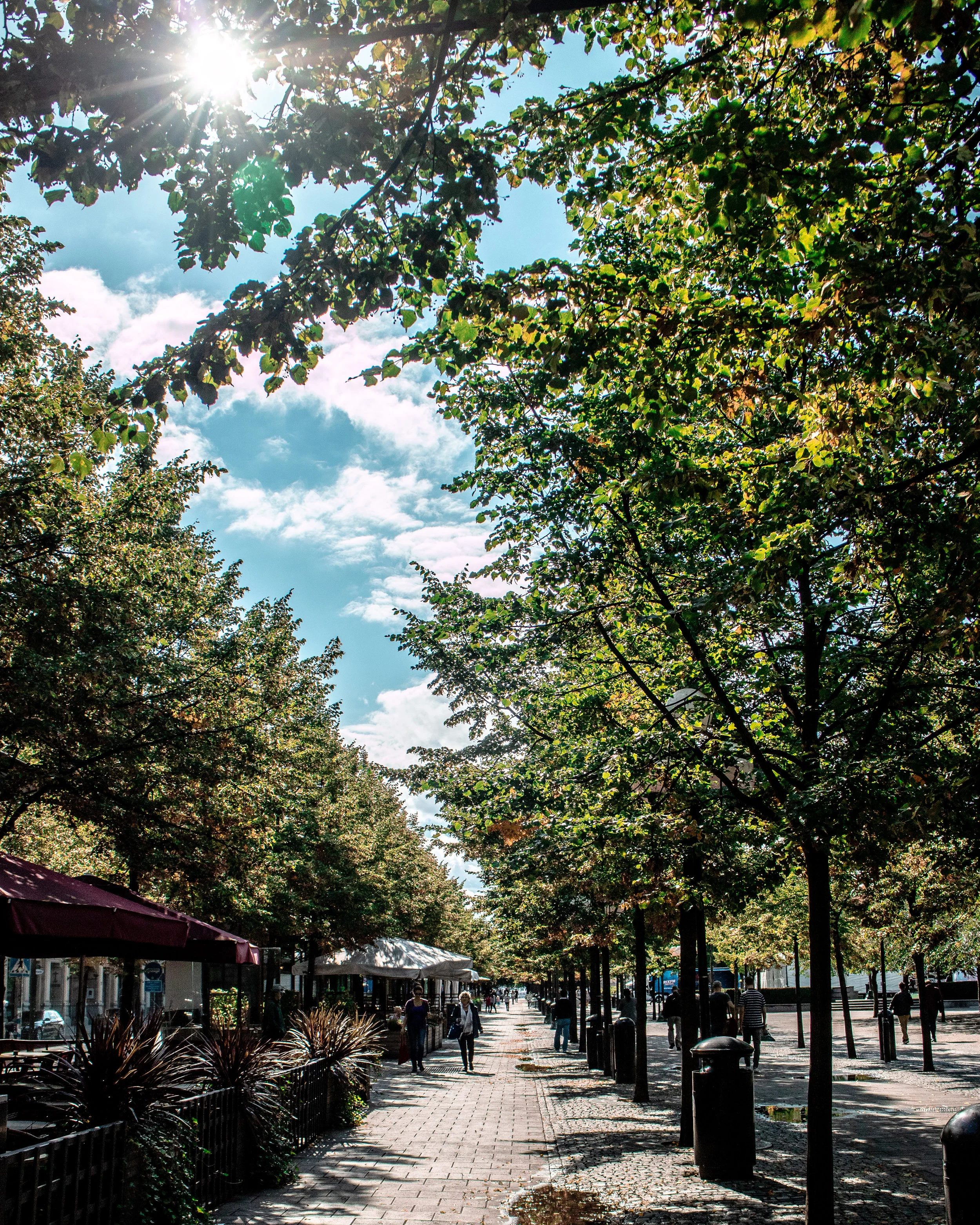 Kungsträdgården