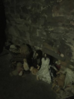 IMG_8194.jpeg