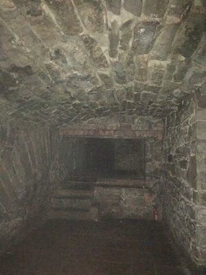 IMG_8196.jpeg