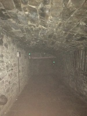 IMG_8200.jpeg