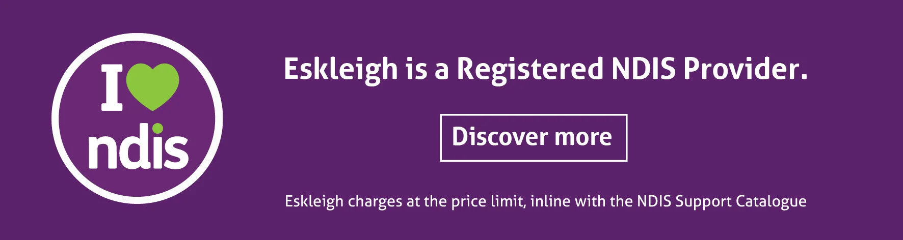 NDIS BANNER ARTWORK_v2.jpg