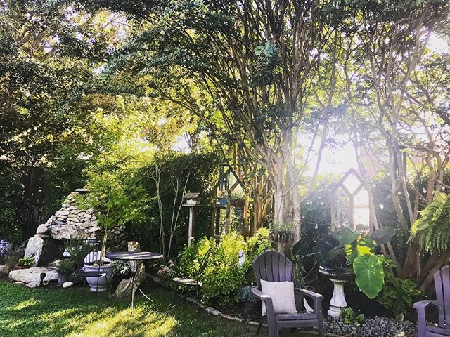 Morning in a garden is just the best. 💚🌿🌞#morning #garden #peace
