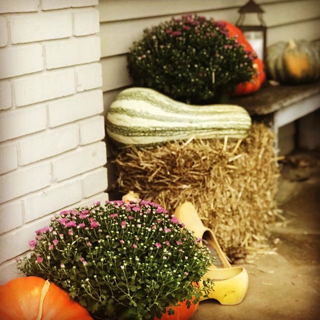 Got shamed into celebrating fall. Looking at you @hannahwmcconnell. 🍂 #summerismyfavorite #itsfallyall #annoyingphrases #pumpkins