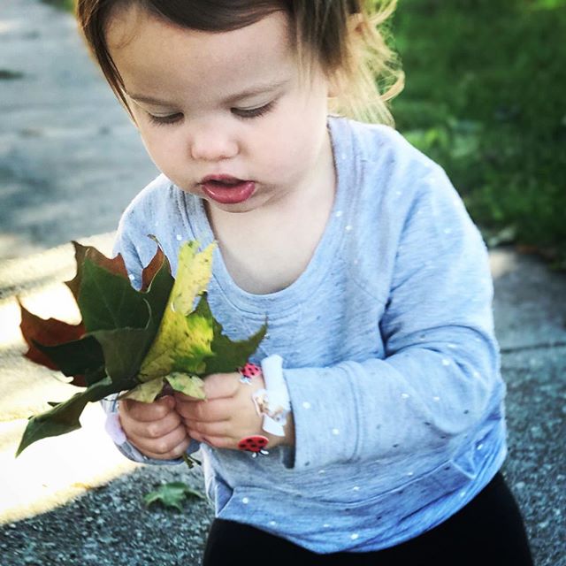 Leaf collecting. 🍁 #autumn #babylove #putallthestickersonyourhand