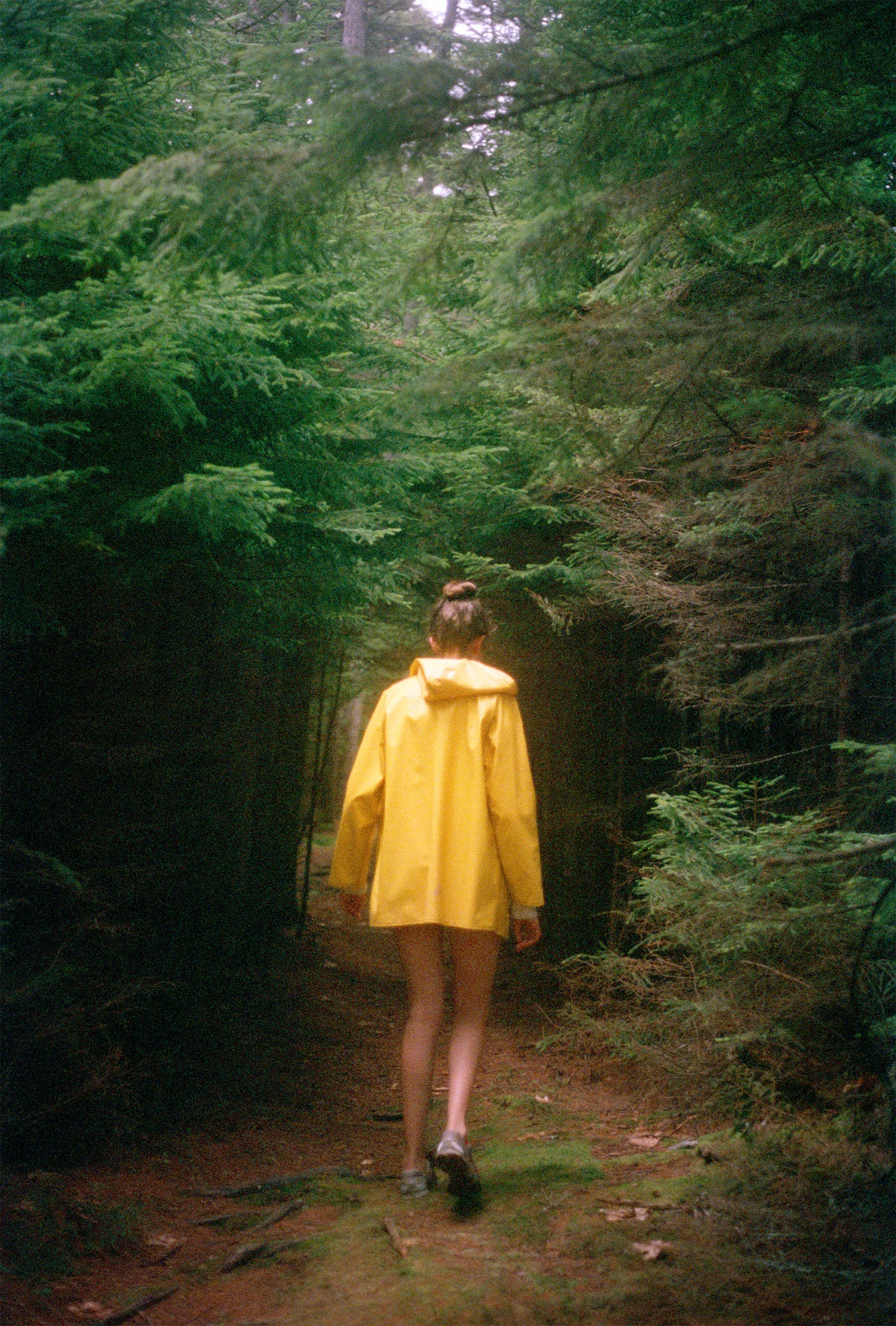 Wellesley, Bustin's Island, Maine. 2015.