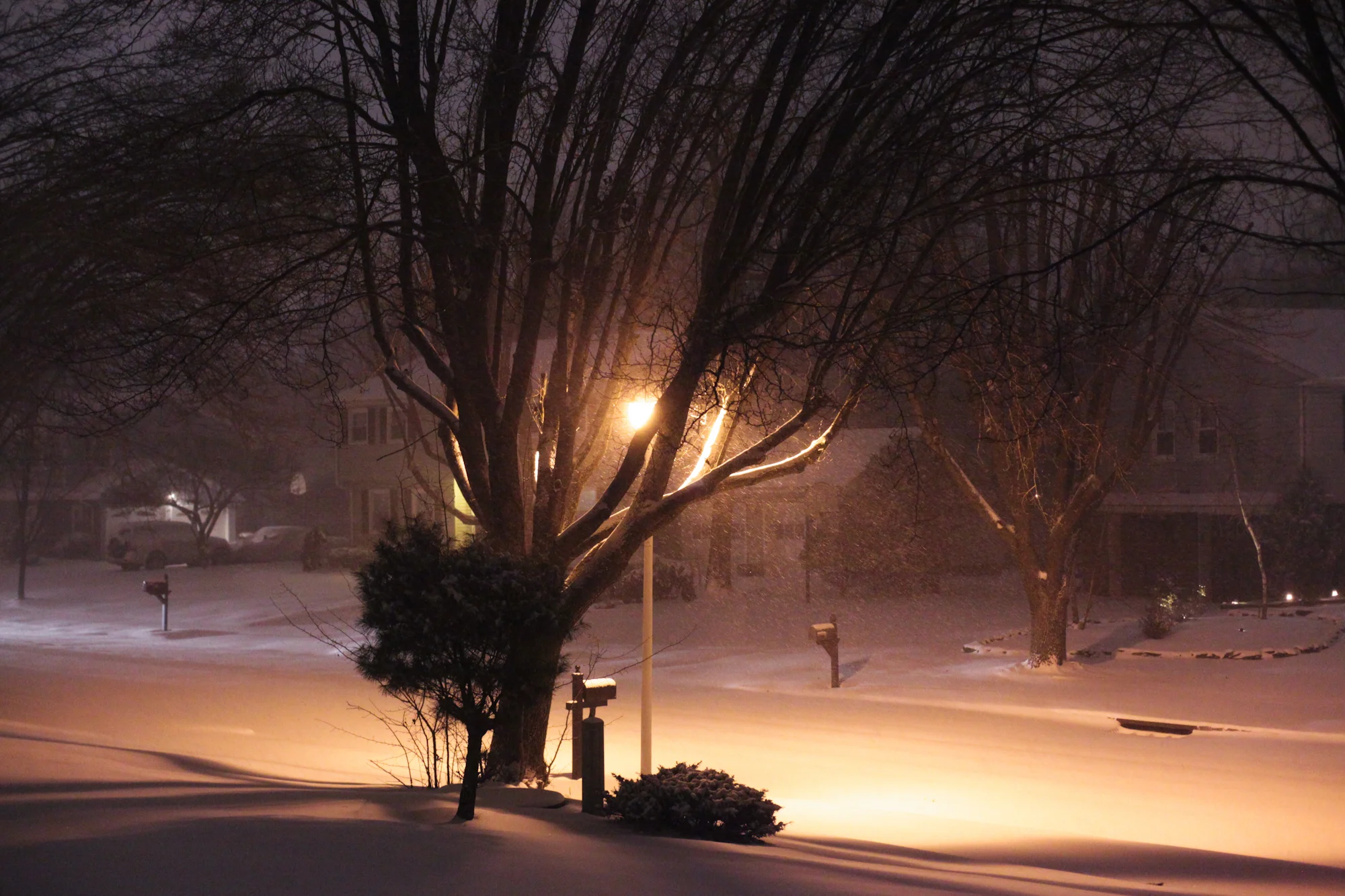 New Jersey 2015.