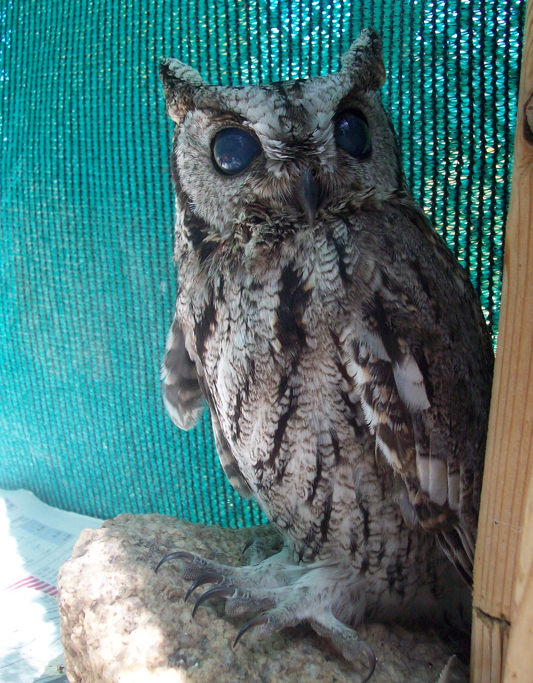 Sometimes Miracles Happen!