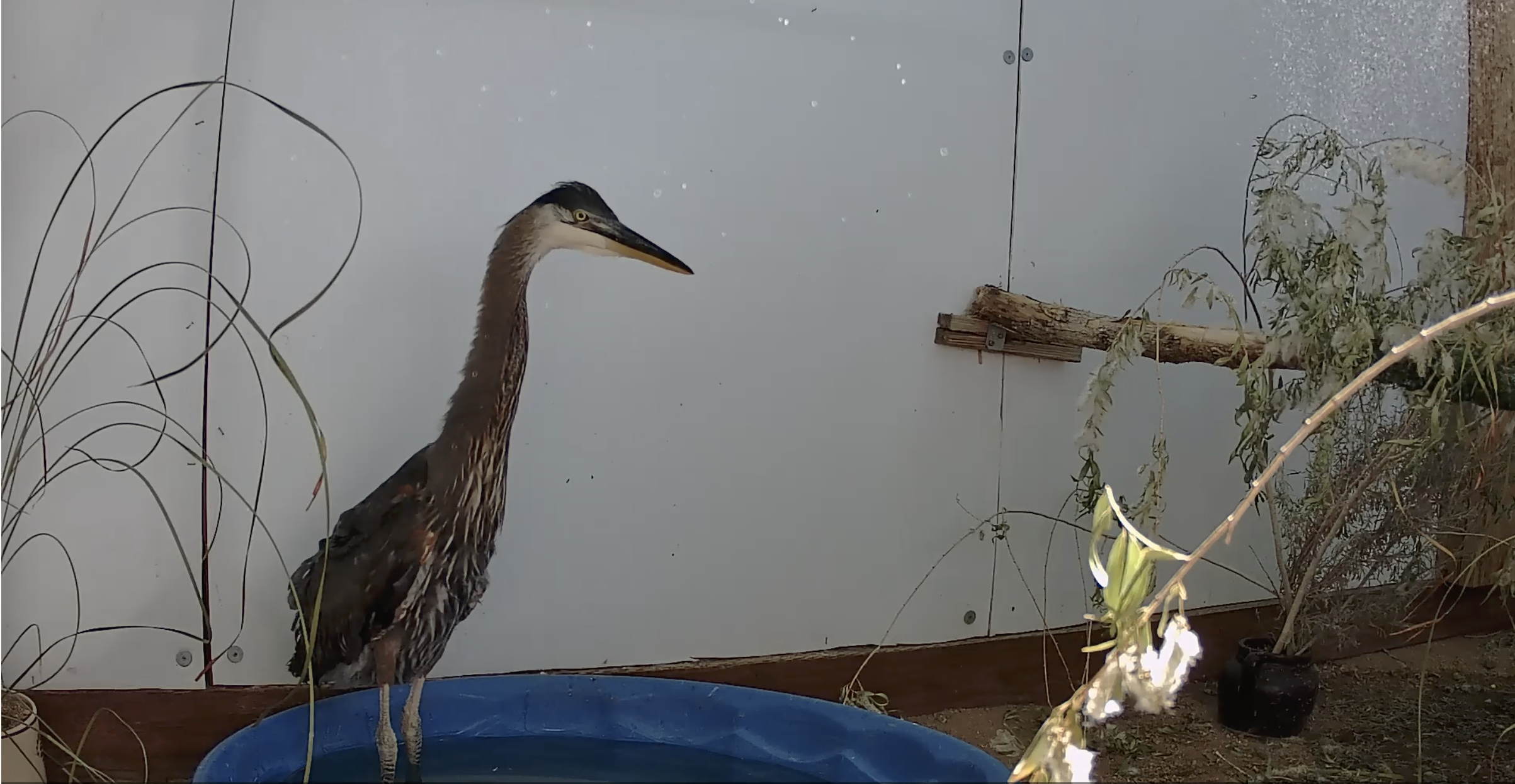 Screenshot 2026-04-25 at 4.04.20 PM.png