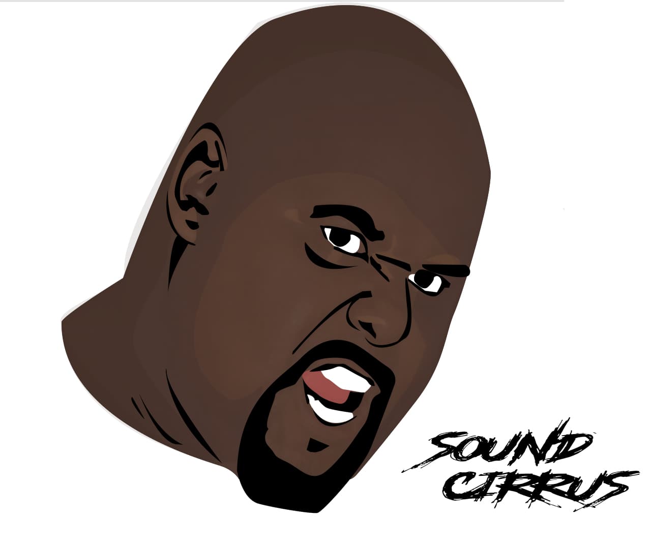 Cirrus Toon Pic.jpg