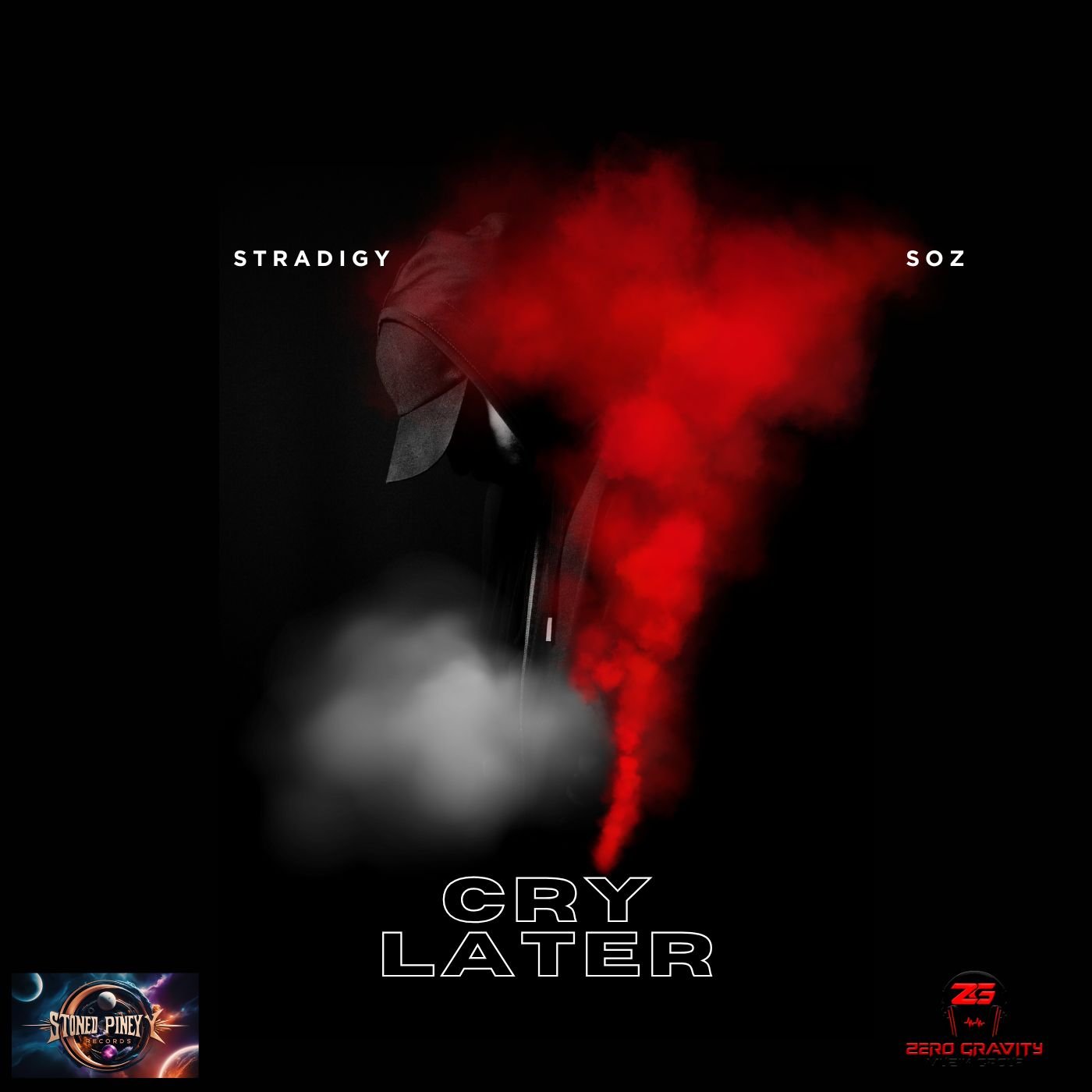 Cry Later Cover Artwork.jpg