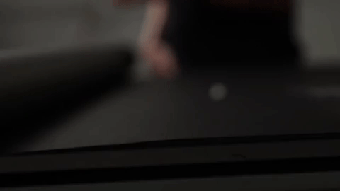 giphy.gif