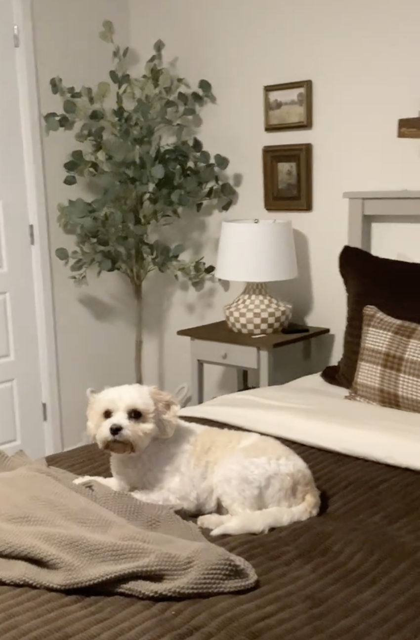 Creating The Perfect Guest Bedroom